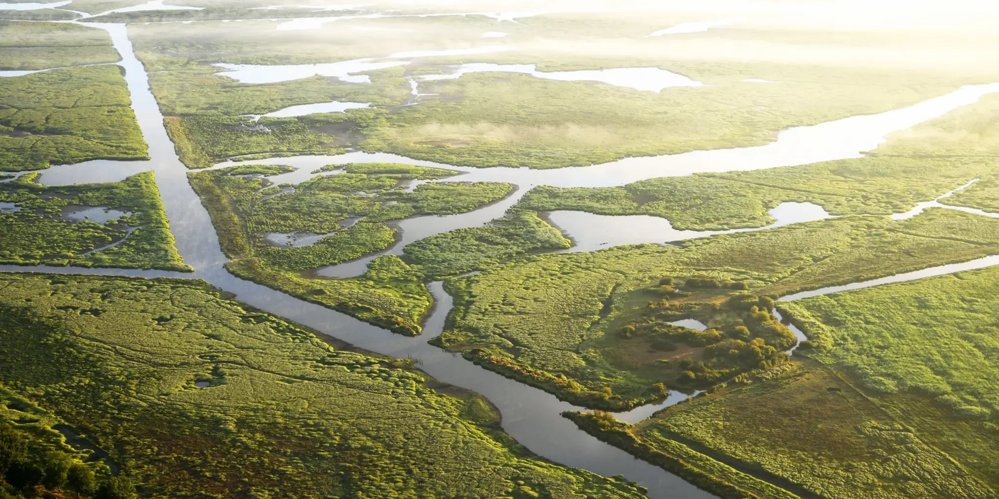 Étang de la Belle Hautière