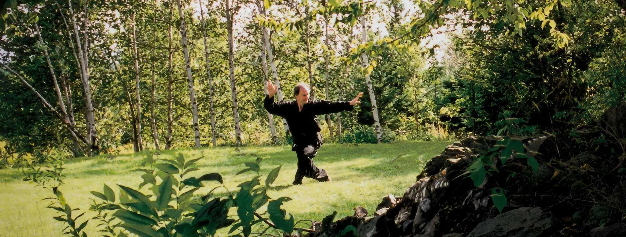 Art Chi - Qi Gong Tai Chi - Sherbrooke