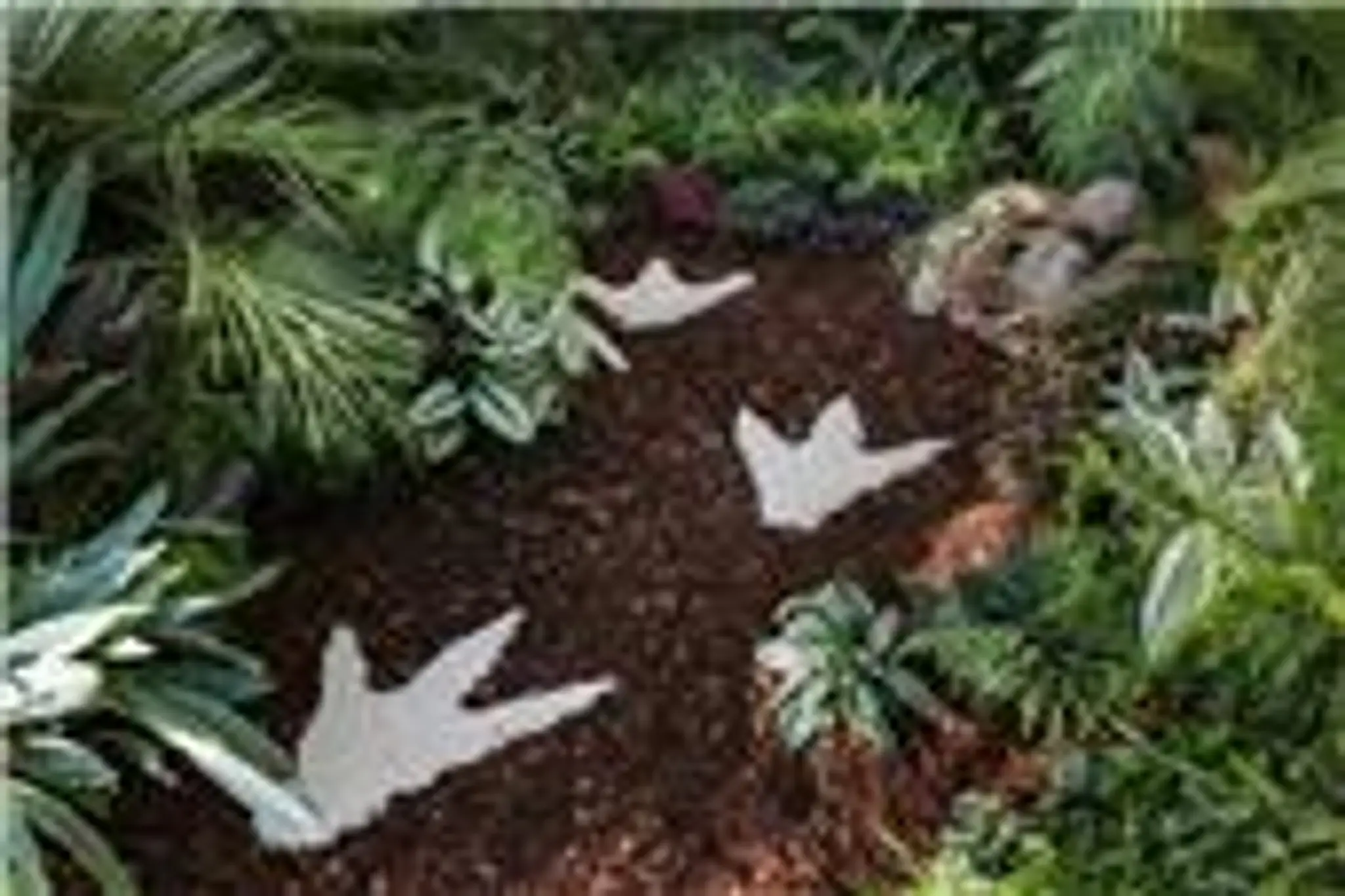 Porlock & District Bowling Club