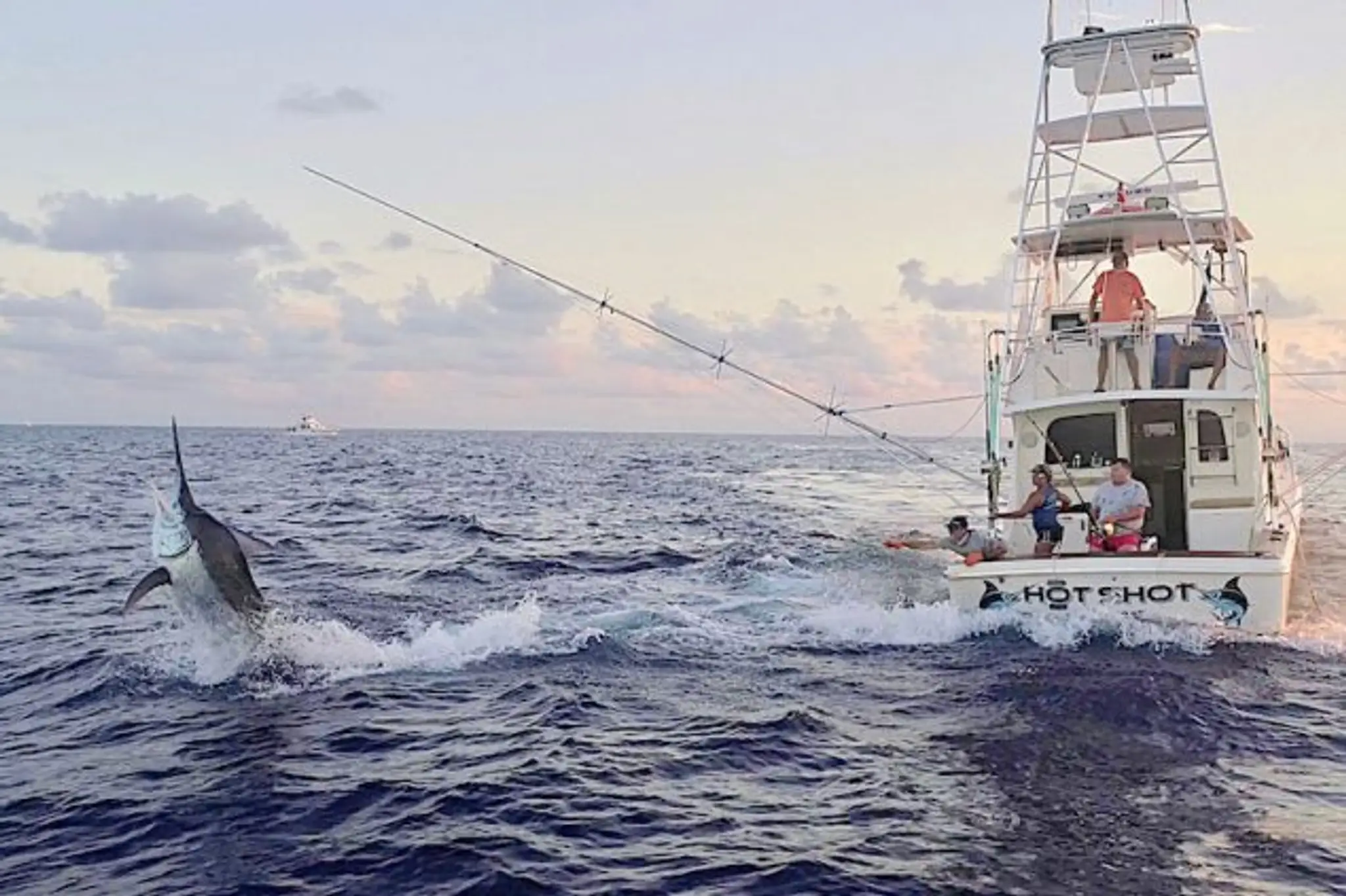 Hotshot Charters