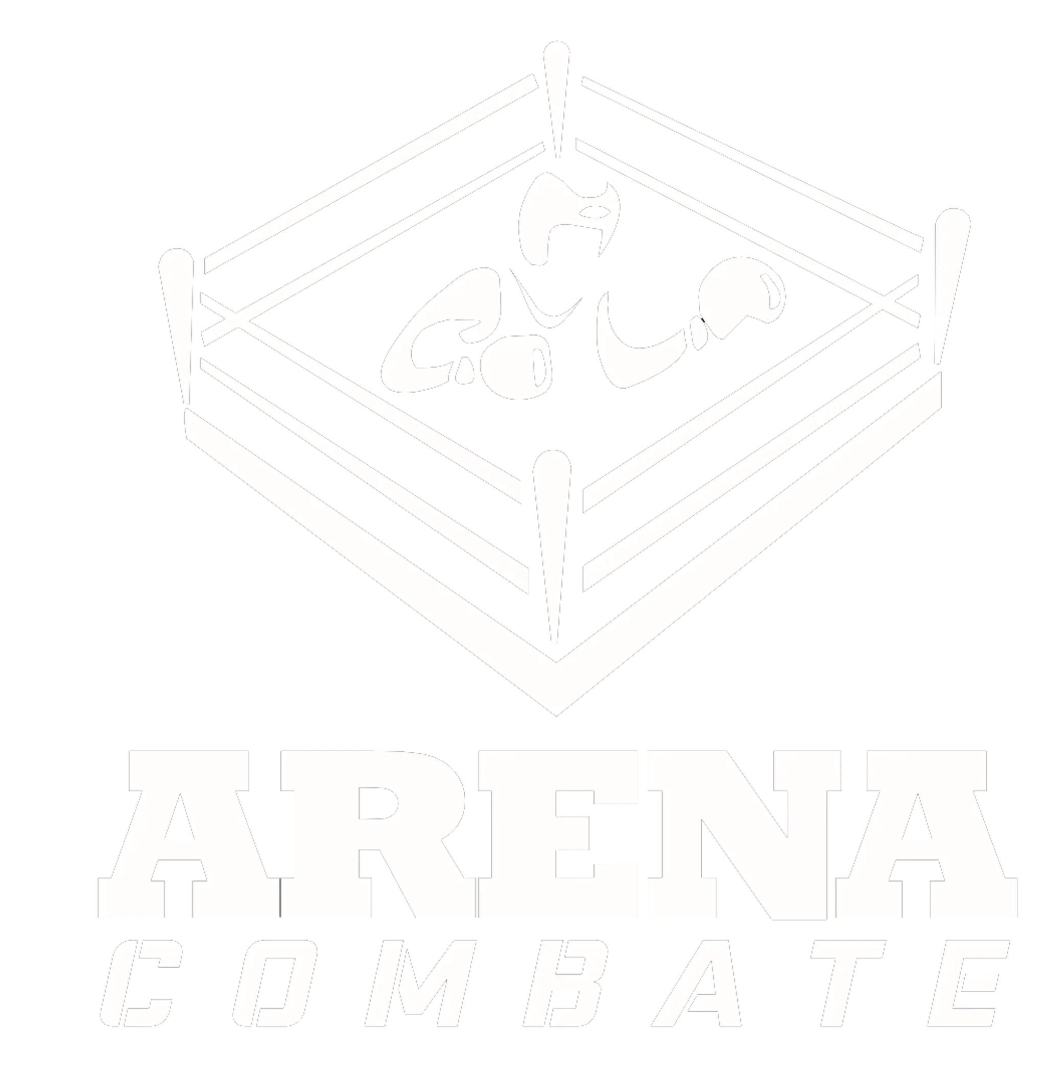 Academia Arena Combate