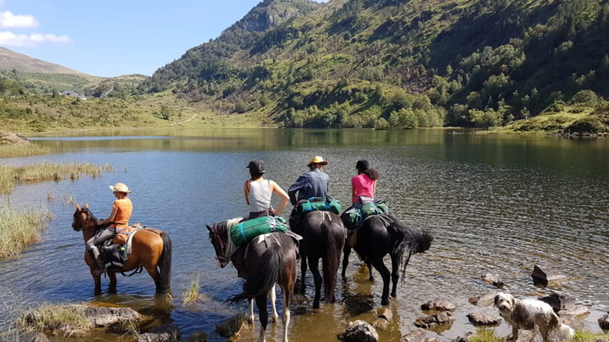Pyrenees A Cheval