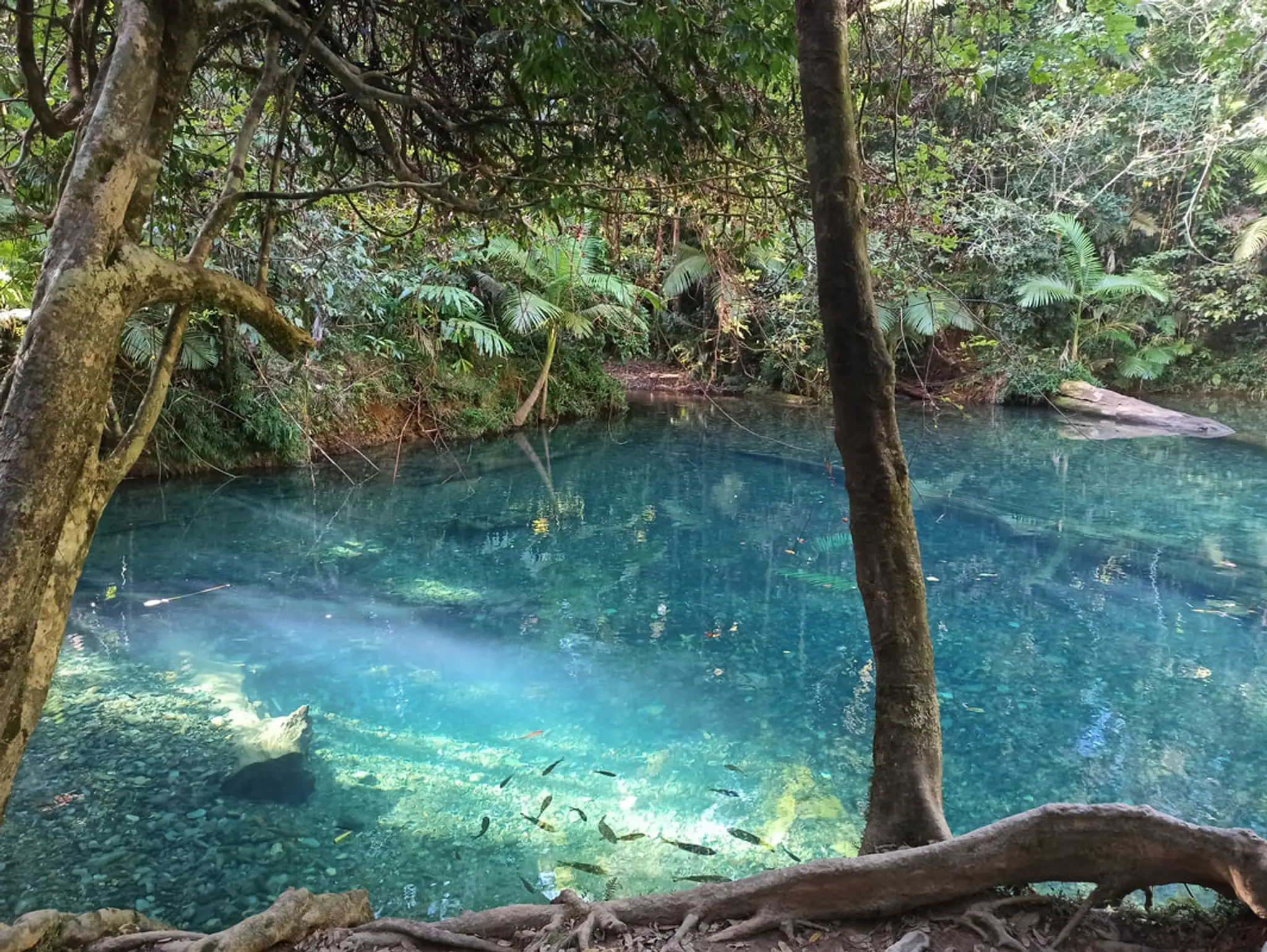 Warm Heart Hatha Yoga