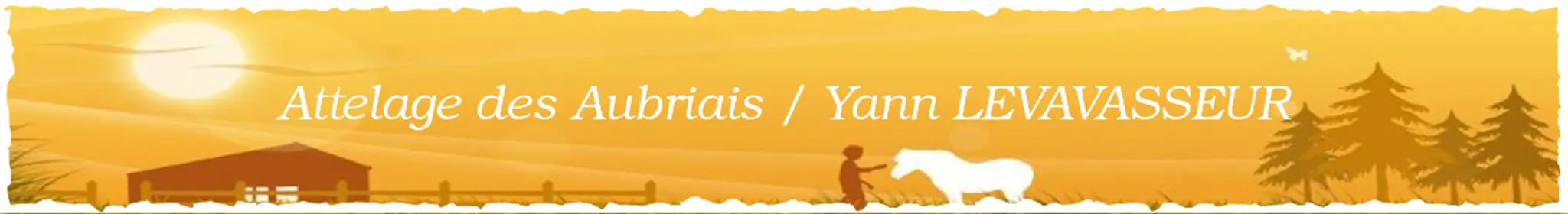 Earl Écurie Des Aubriais