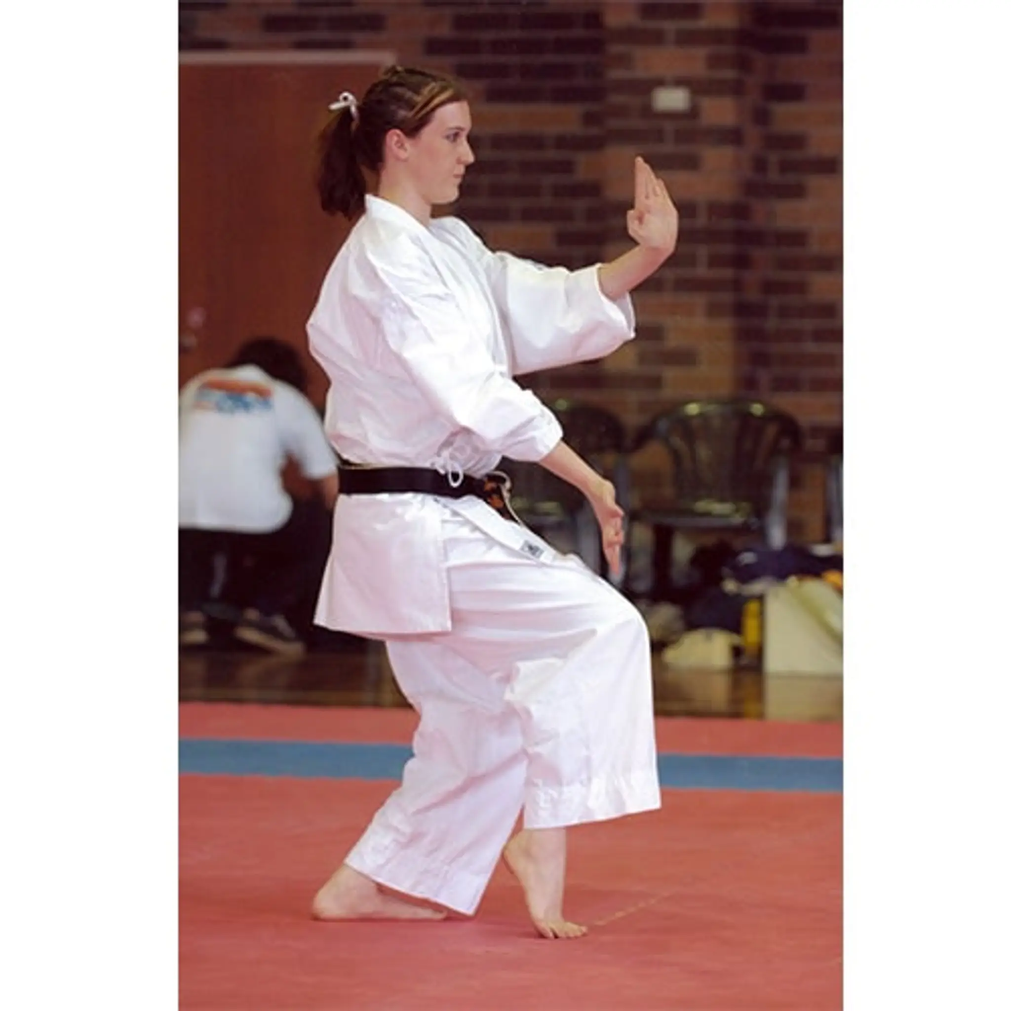 Karate Academy of Japan Gojuryu Shailer Park