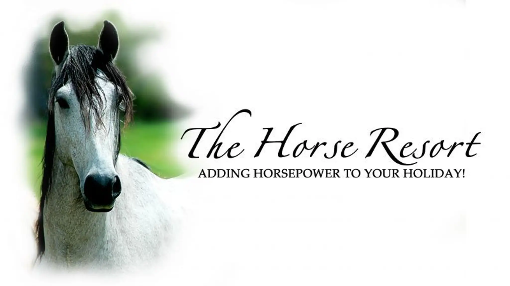 The Horse Resort - horse riding in Margaret River