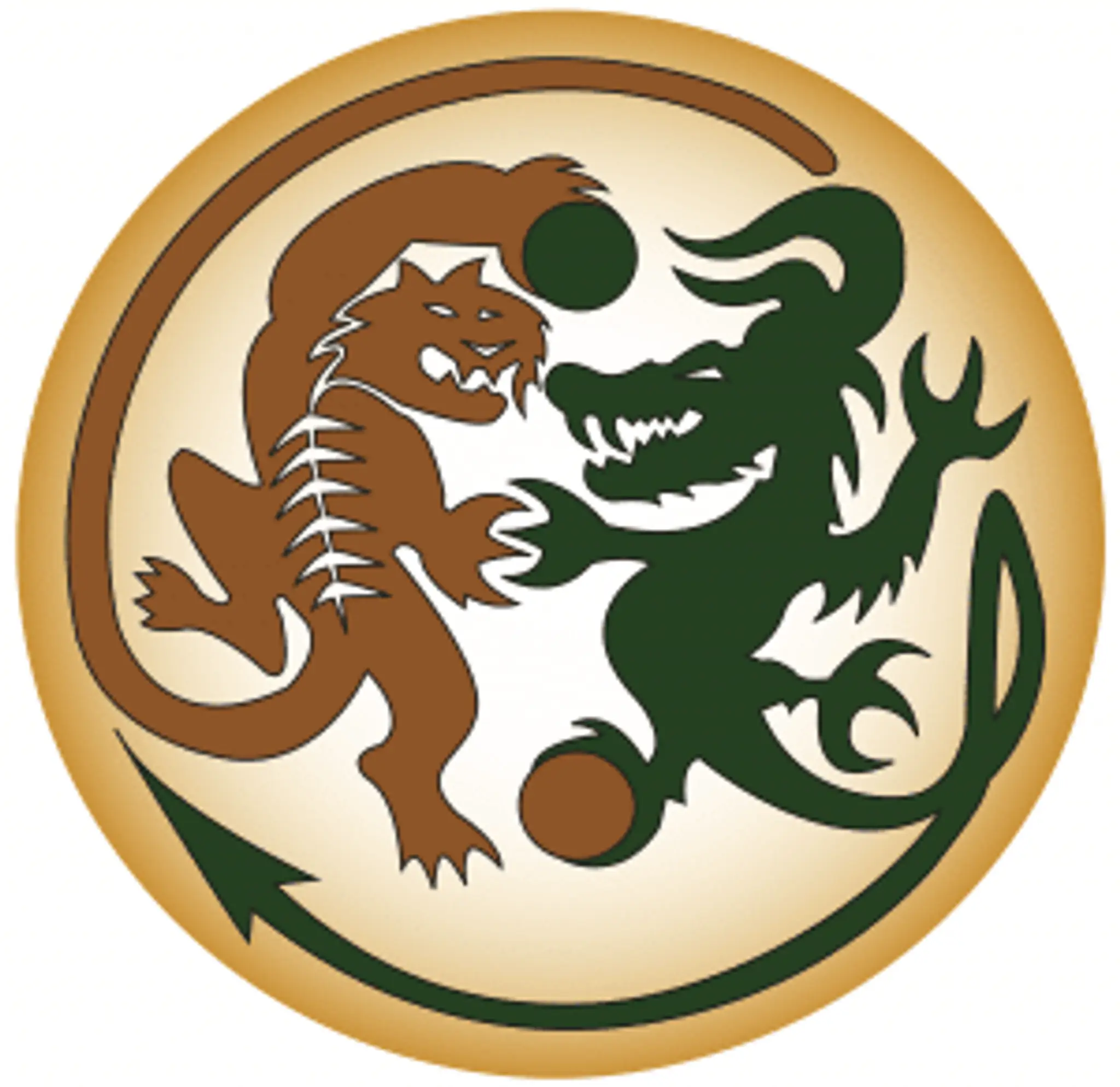 Tiger Dragon Martial Arts and Holistic HealthCentre