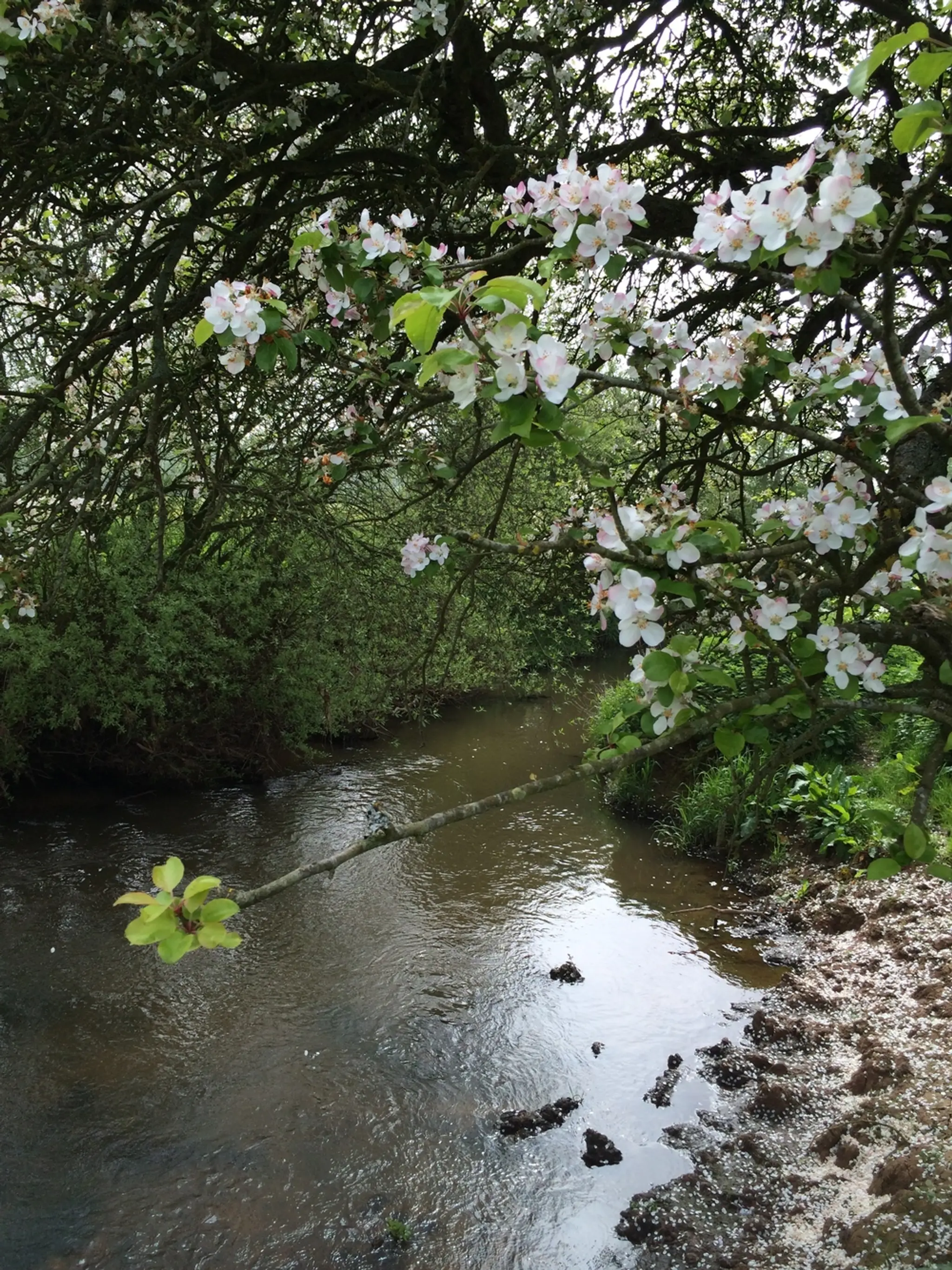 Gloucester Angling Club