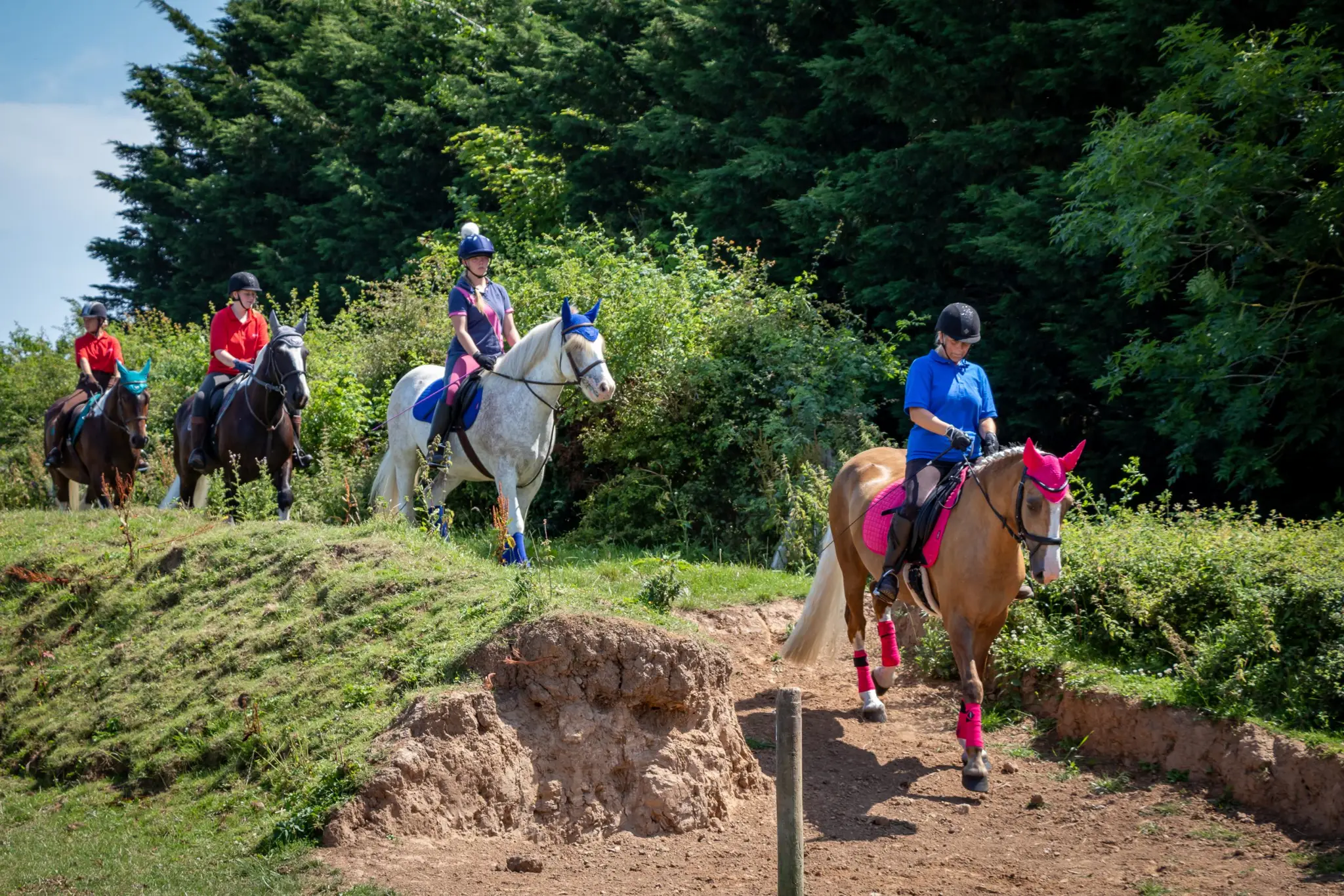 Black Cat Equestrian Centre