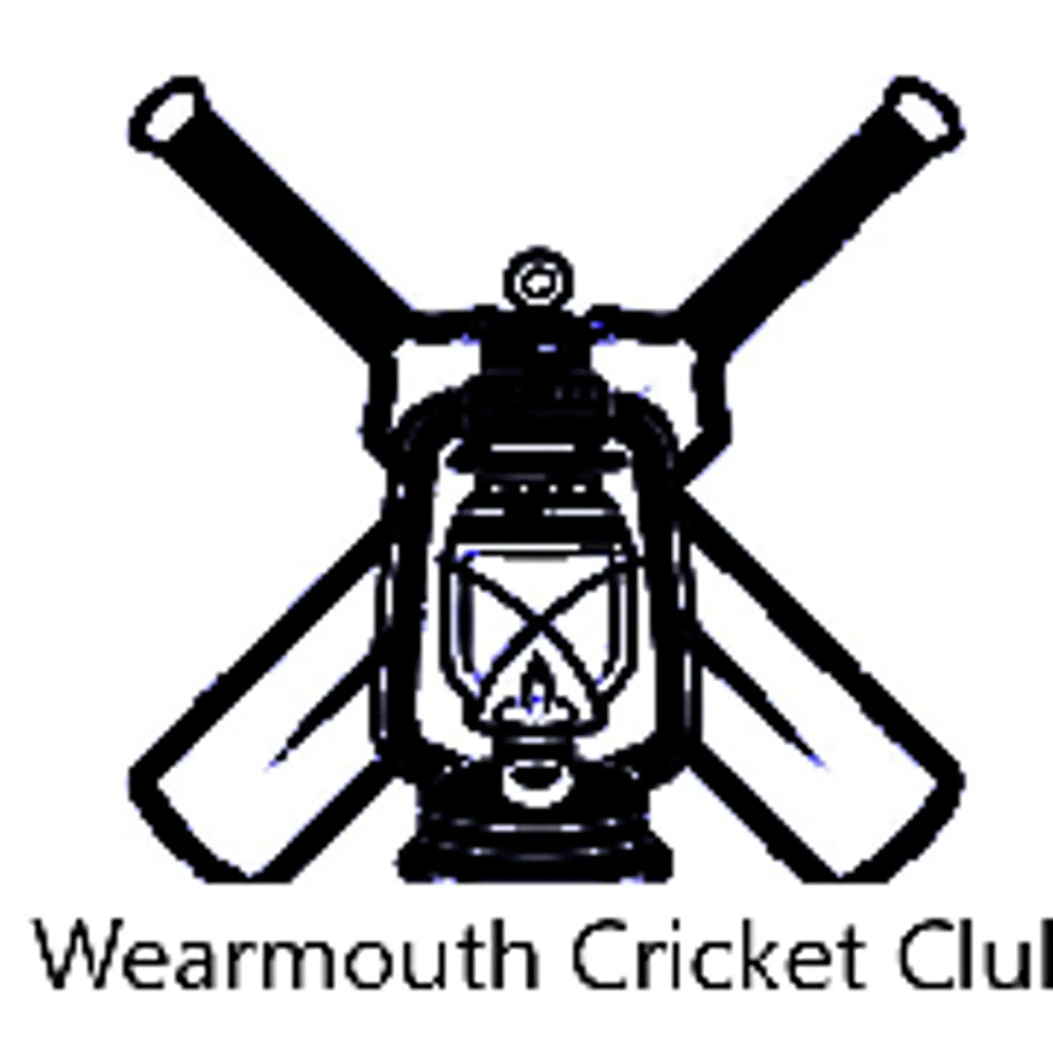 Ryhope C C Cricket Section