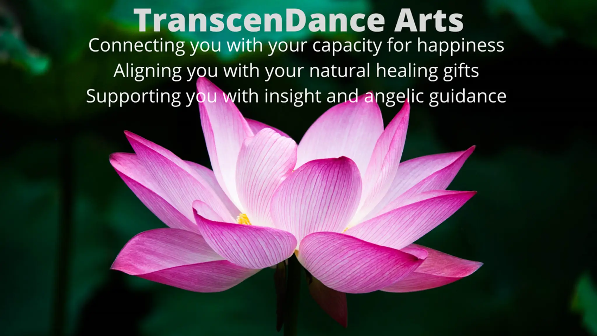 TranscenDance Arts