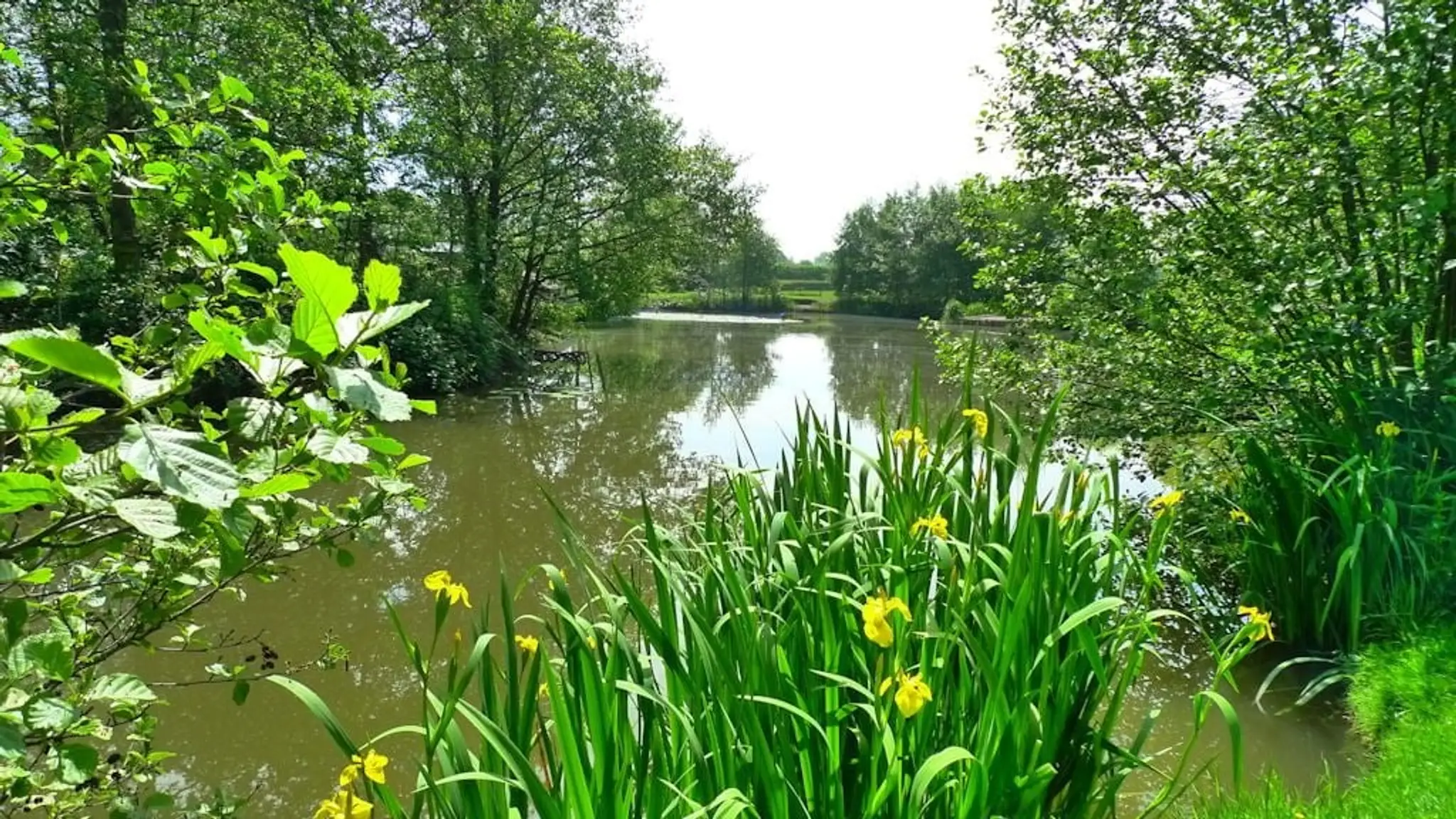 Tetley Angling - Silverbirch Fisheries Private Members Water
