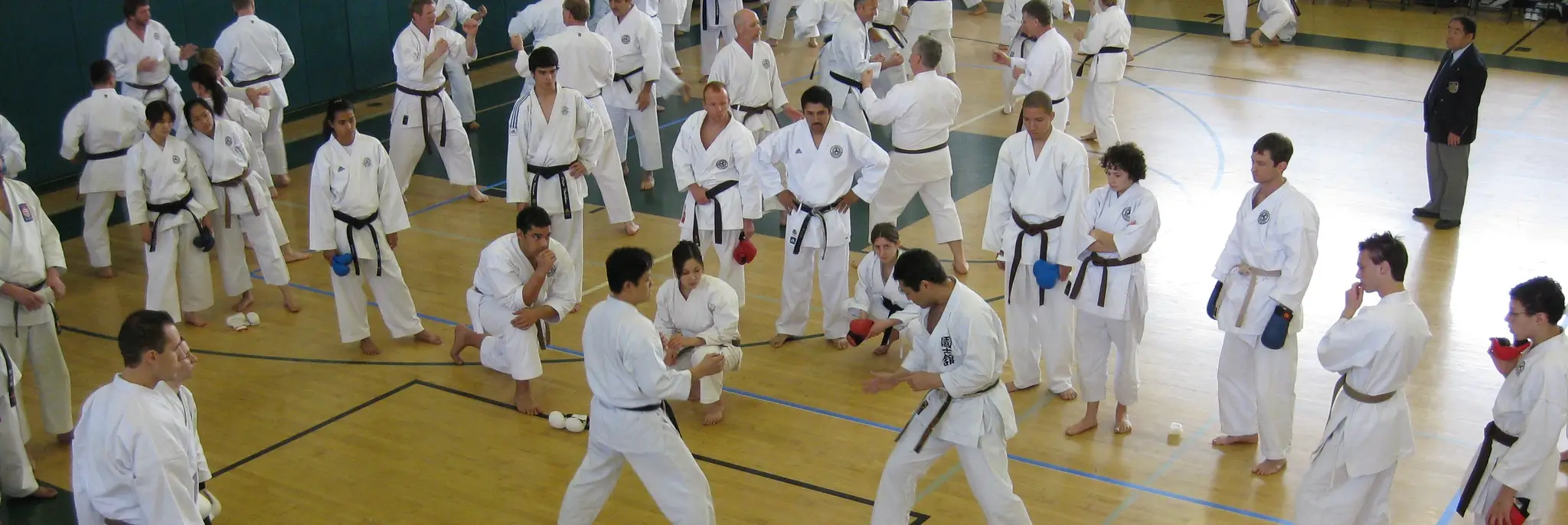 Westmount Karate-Do & Kobudo Club