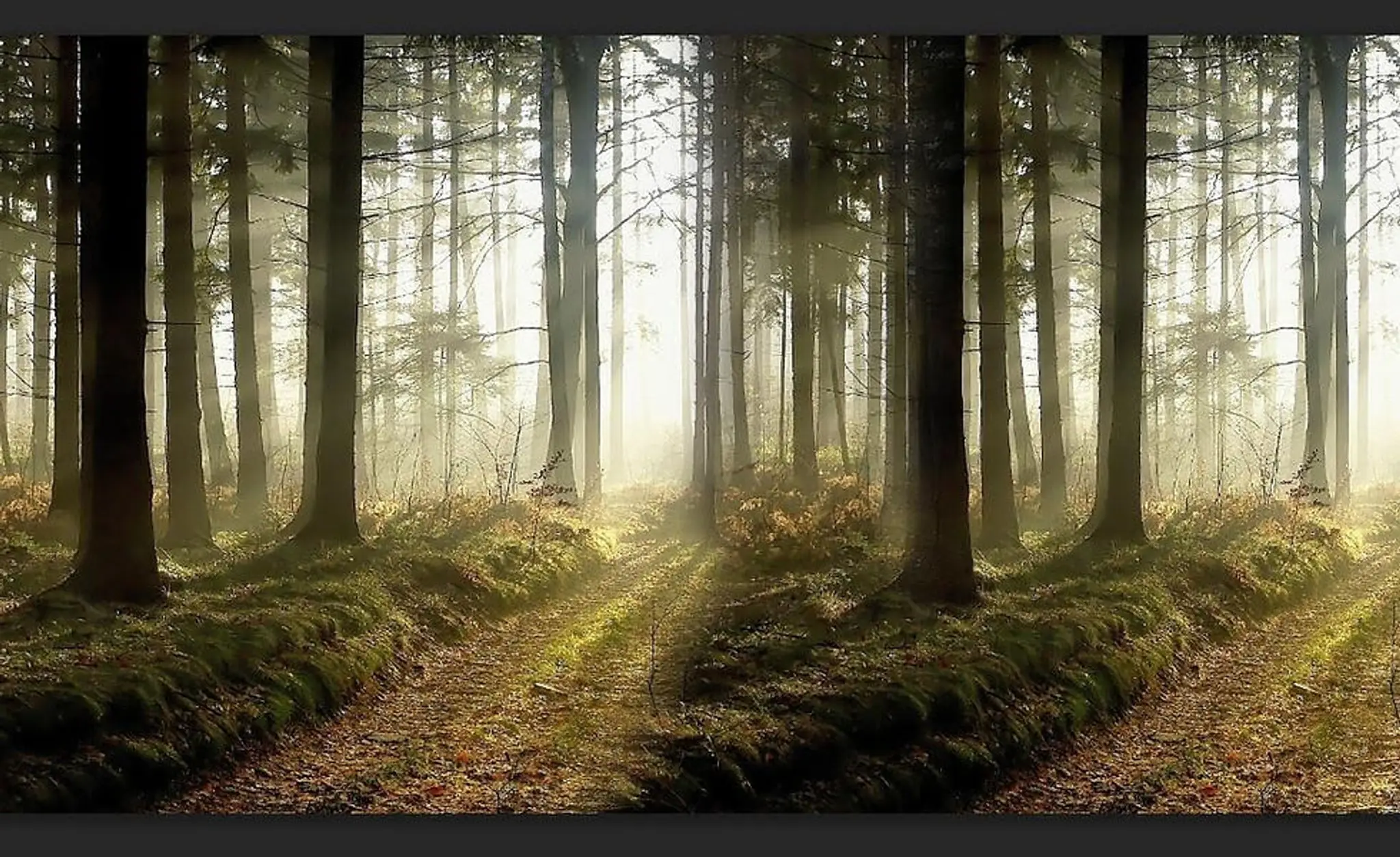 Sacred Soul Wellness Yoga - Sutherland Shire