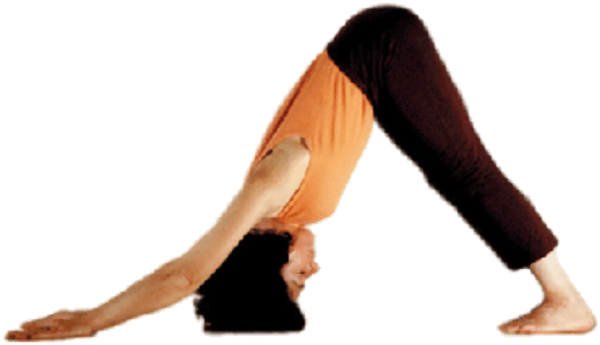 Yoga Center Satyananda De L'aube