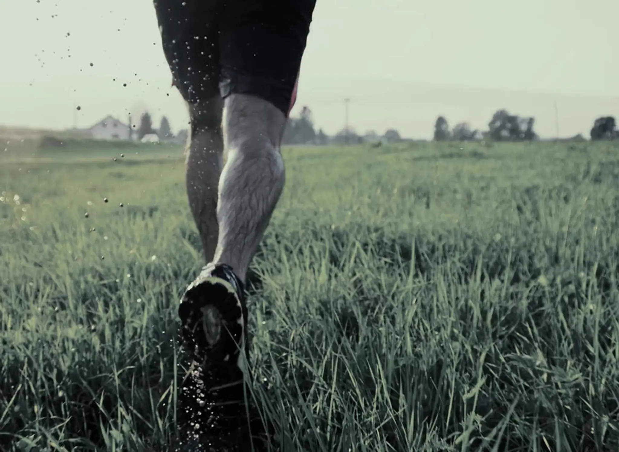 PREP Health & Performance