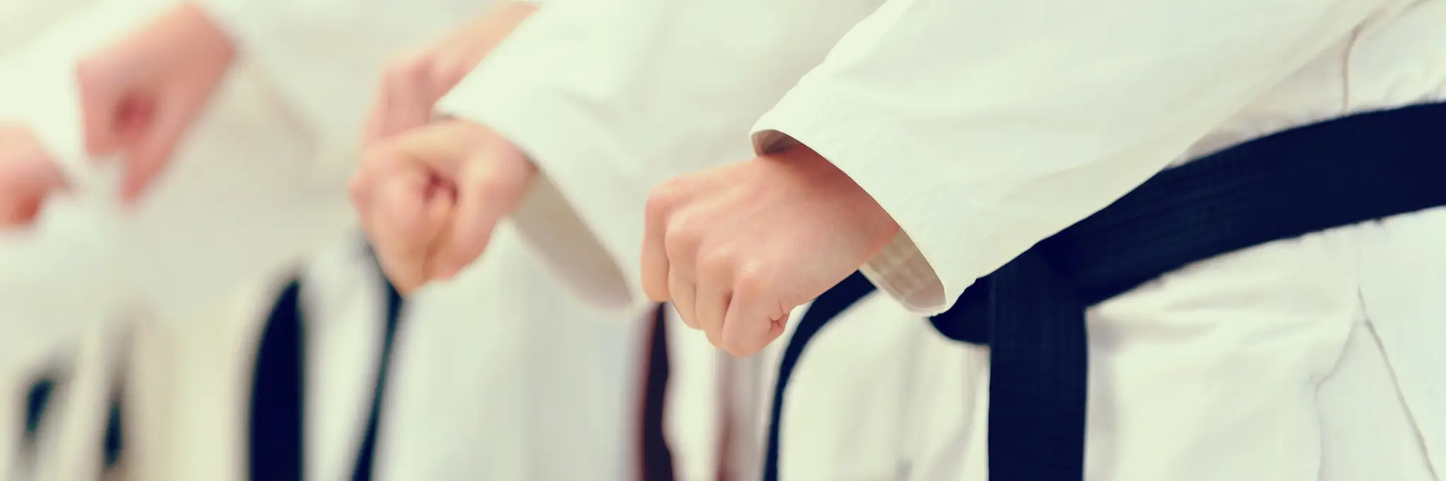 Karate Academy Australia 