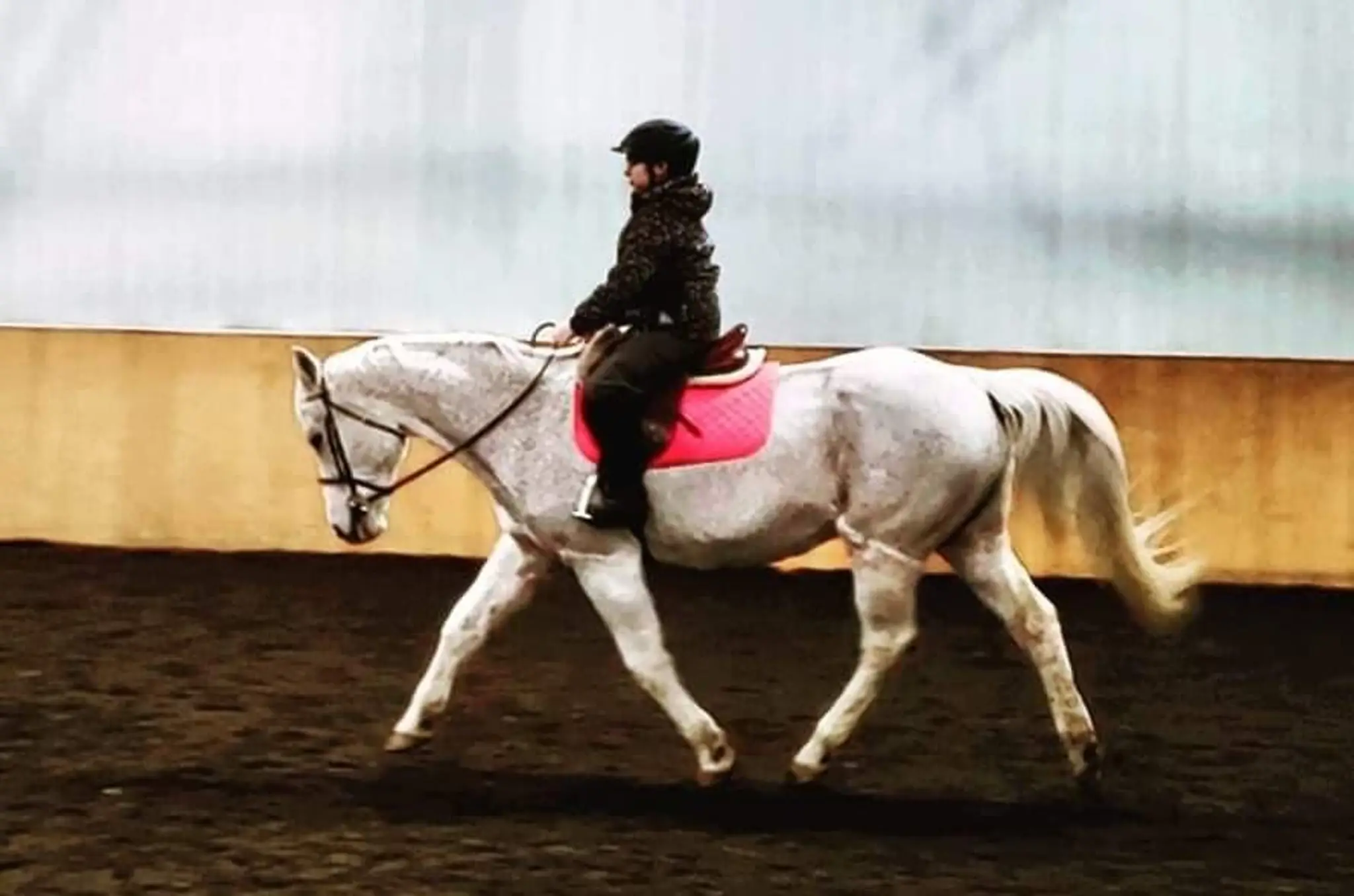 Legacy Performance Training