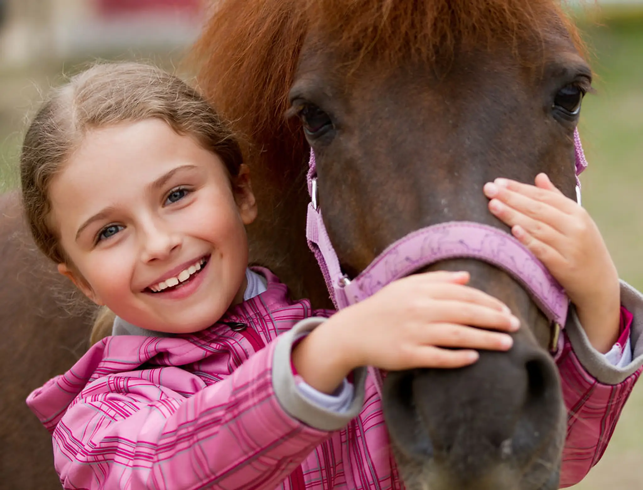 Pinkmead Farm Equestrian Centre