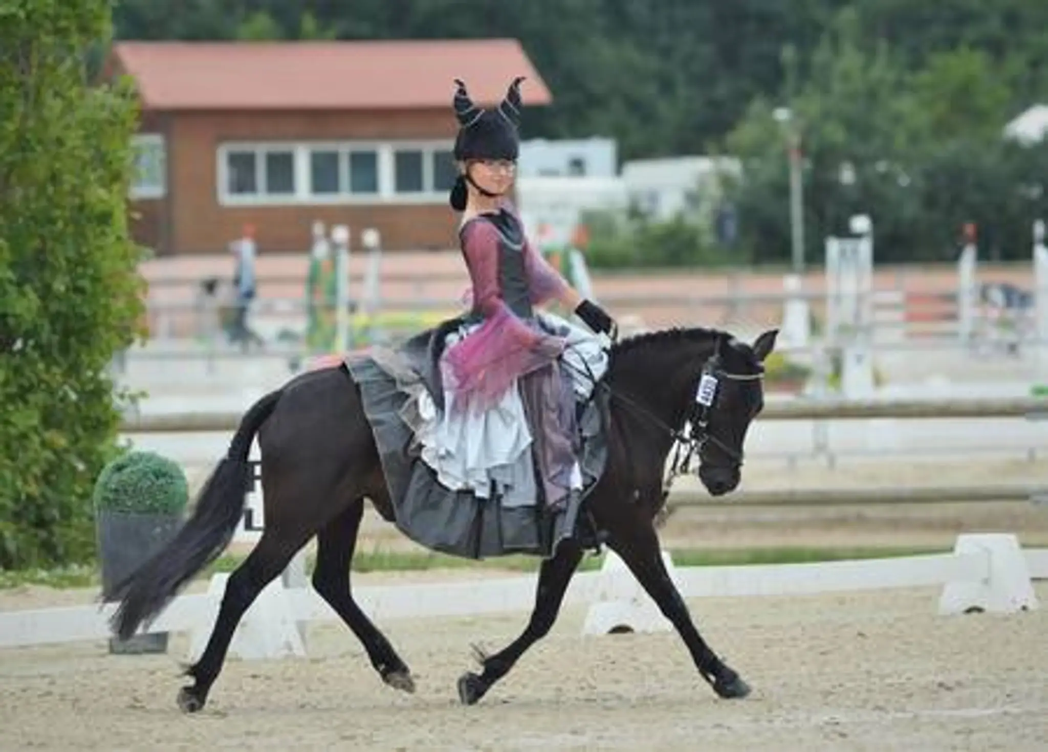 Les Ecuries Du Camajey