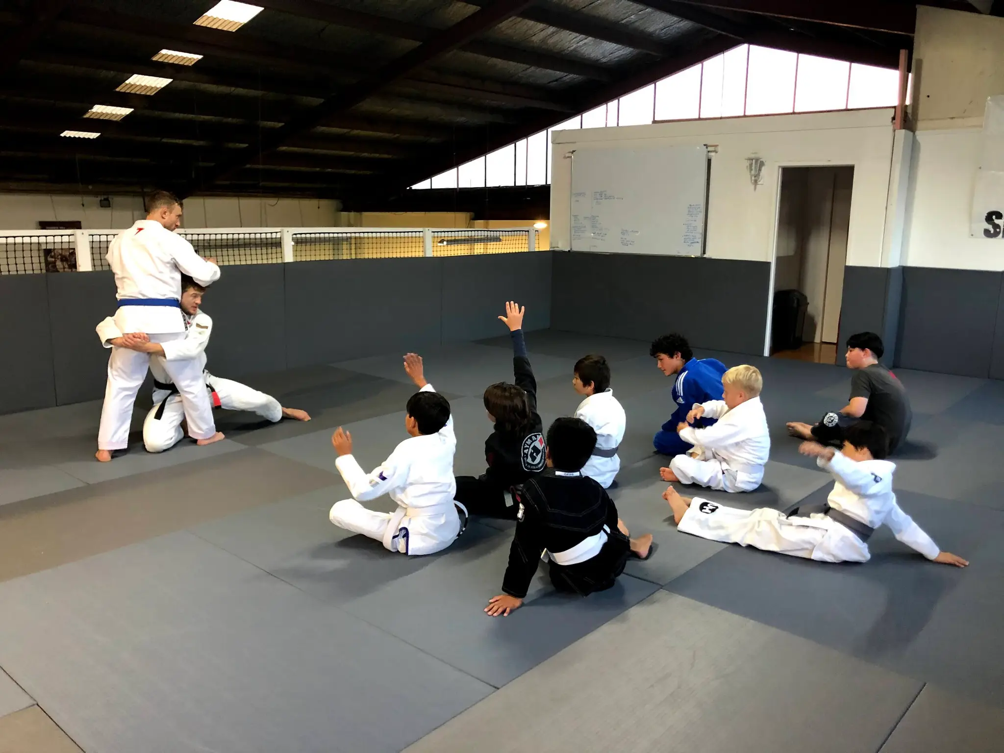 Syzygy BJJ