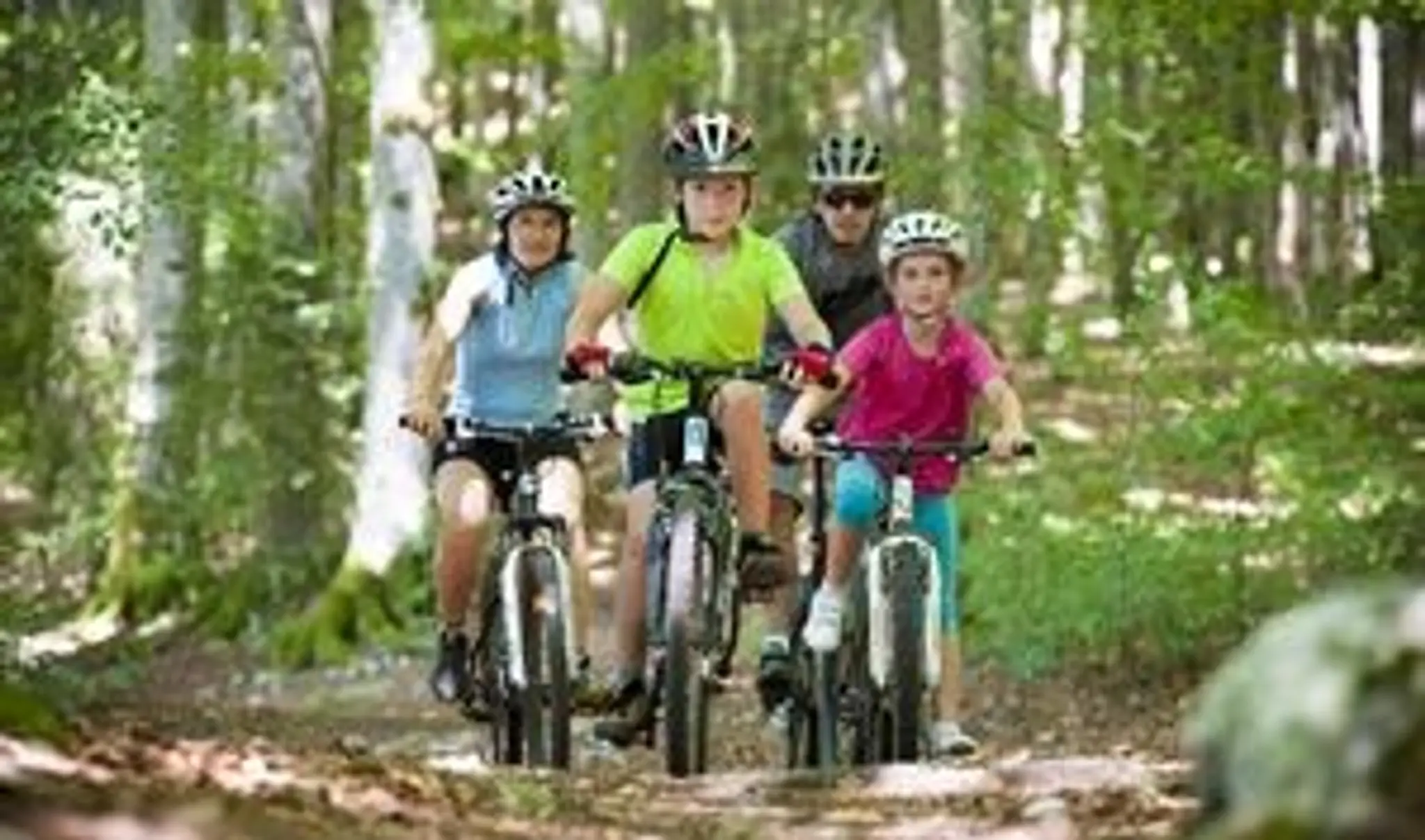 Petit Circuit de Vtt