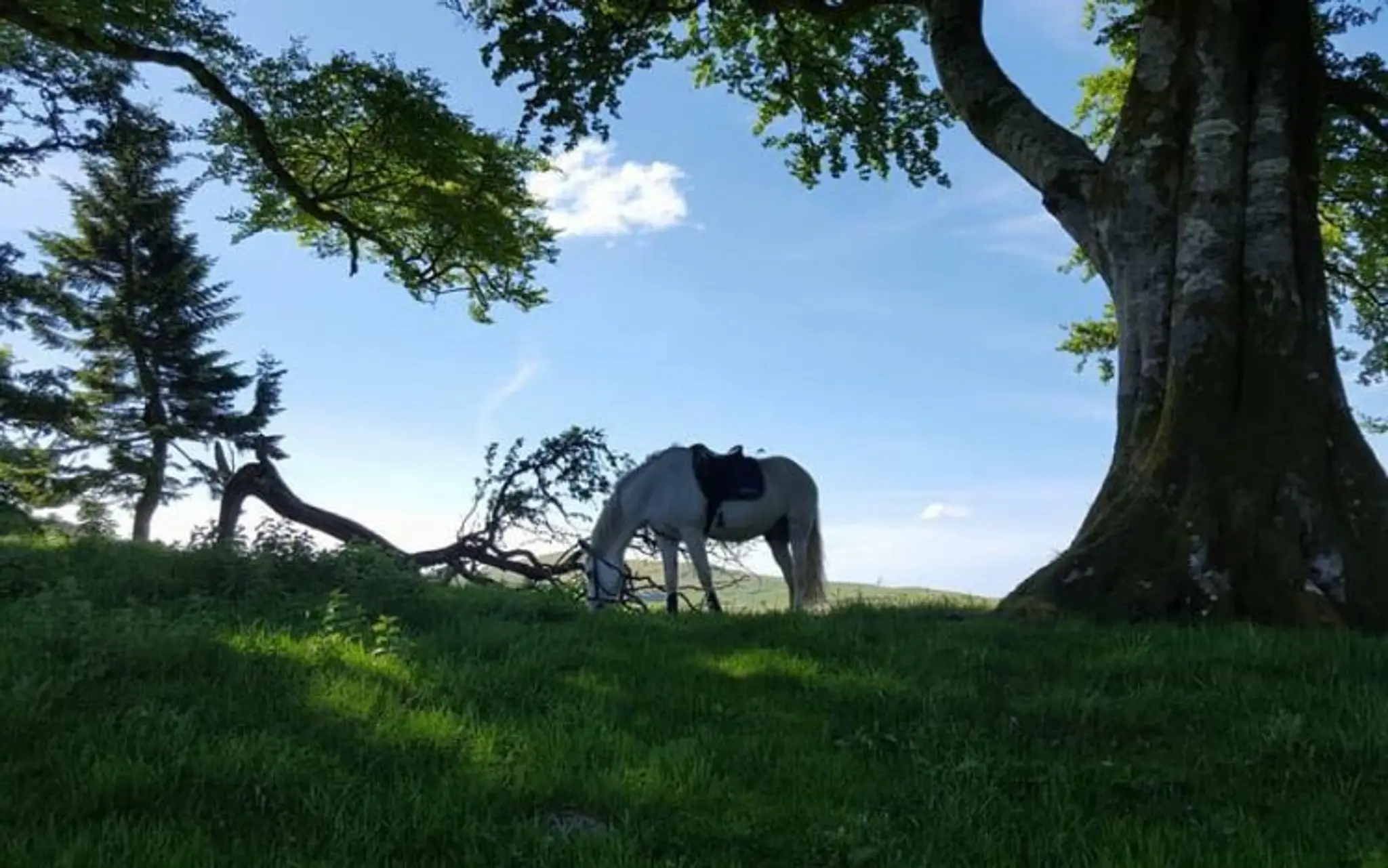 Craigengillan Stables