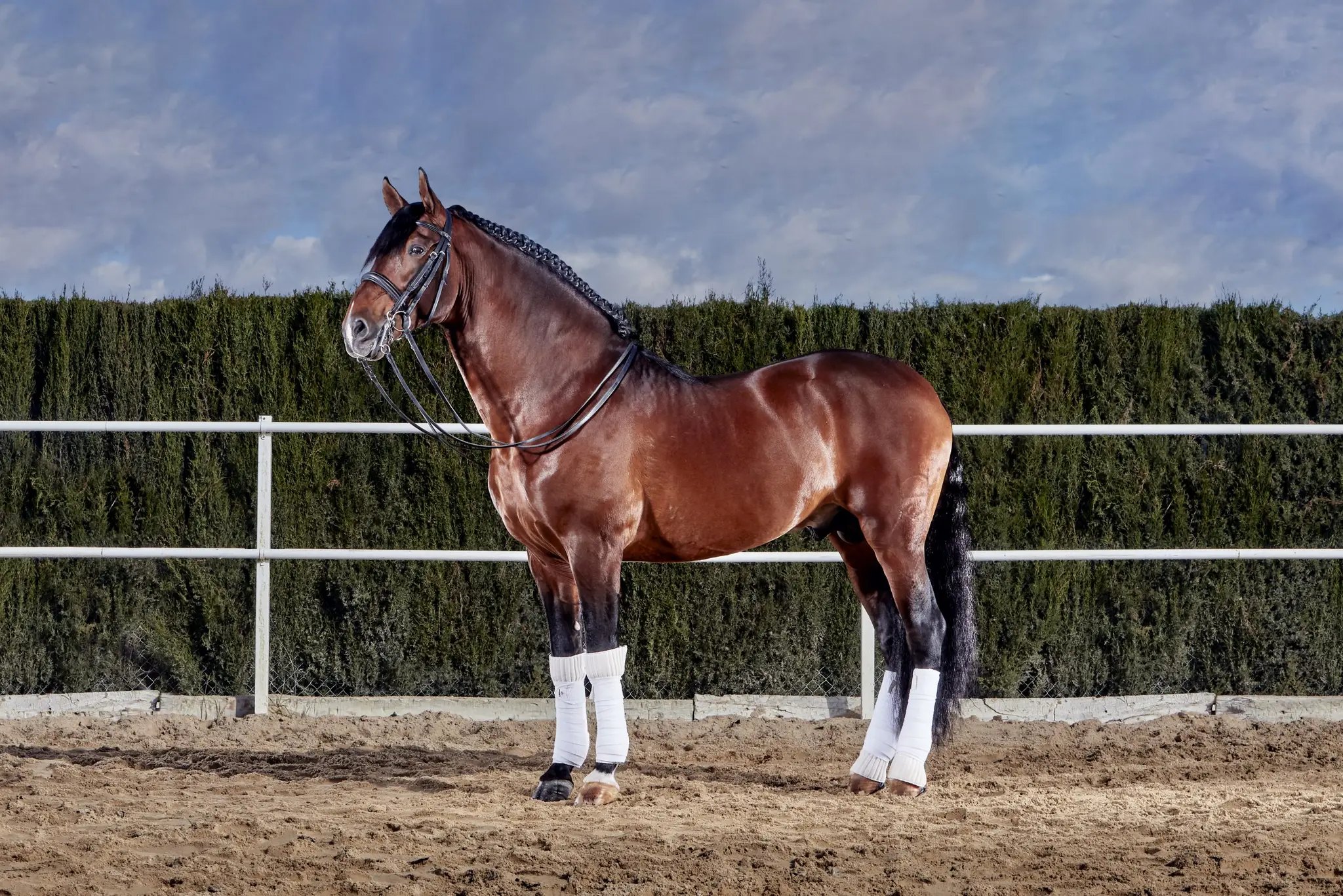 Trent Park Equestrian Centre