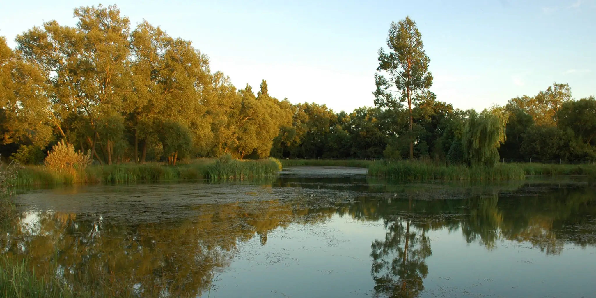 Ashmead Fishery
