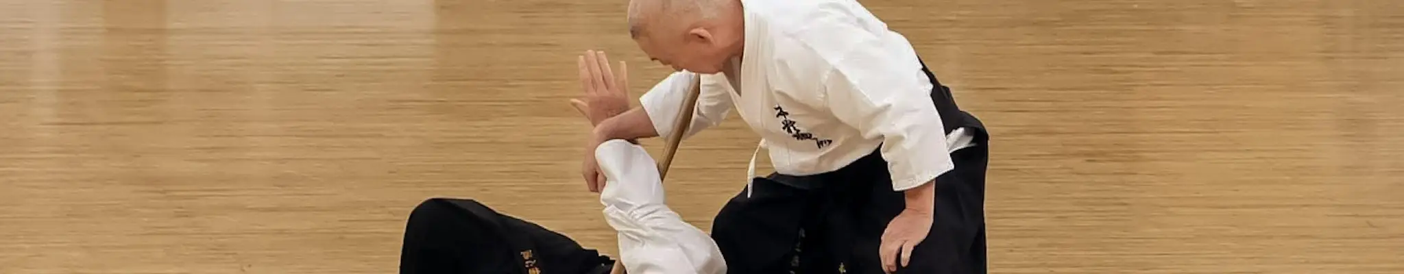 Hontai Yoshin Ryu Ilfracombe