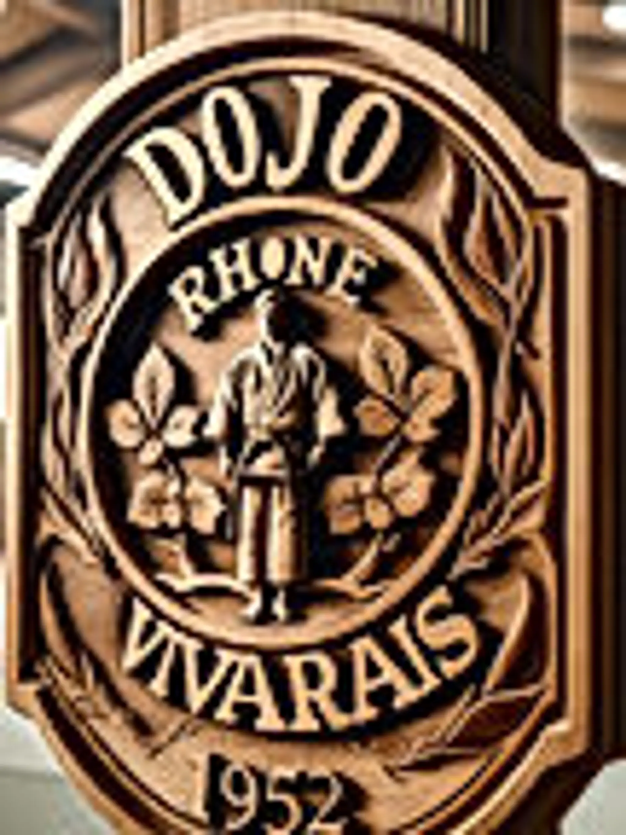 DRV-Judo club Saint Maurice l'Exil