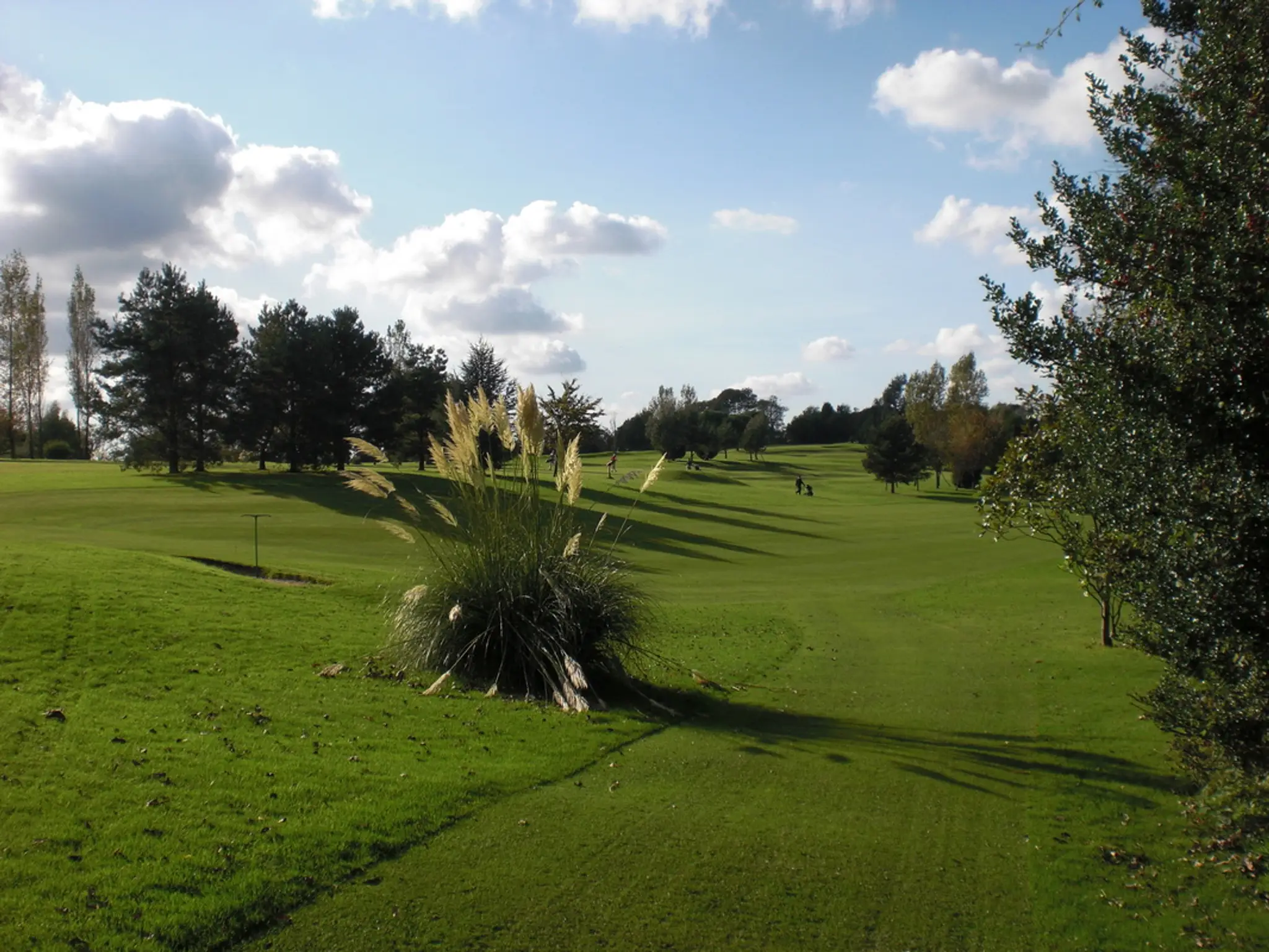 Dewlands Manor Golf Course