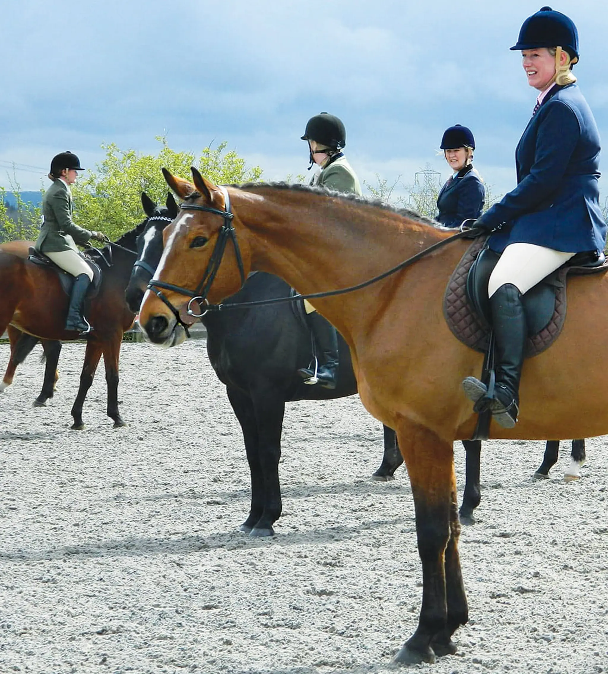 Romsey School of Equitation
