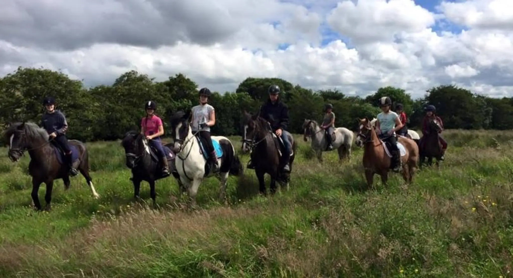 Windyedge Equestrian