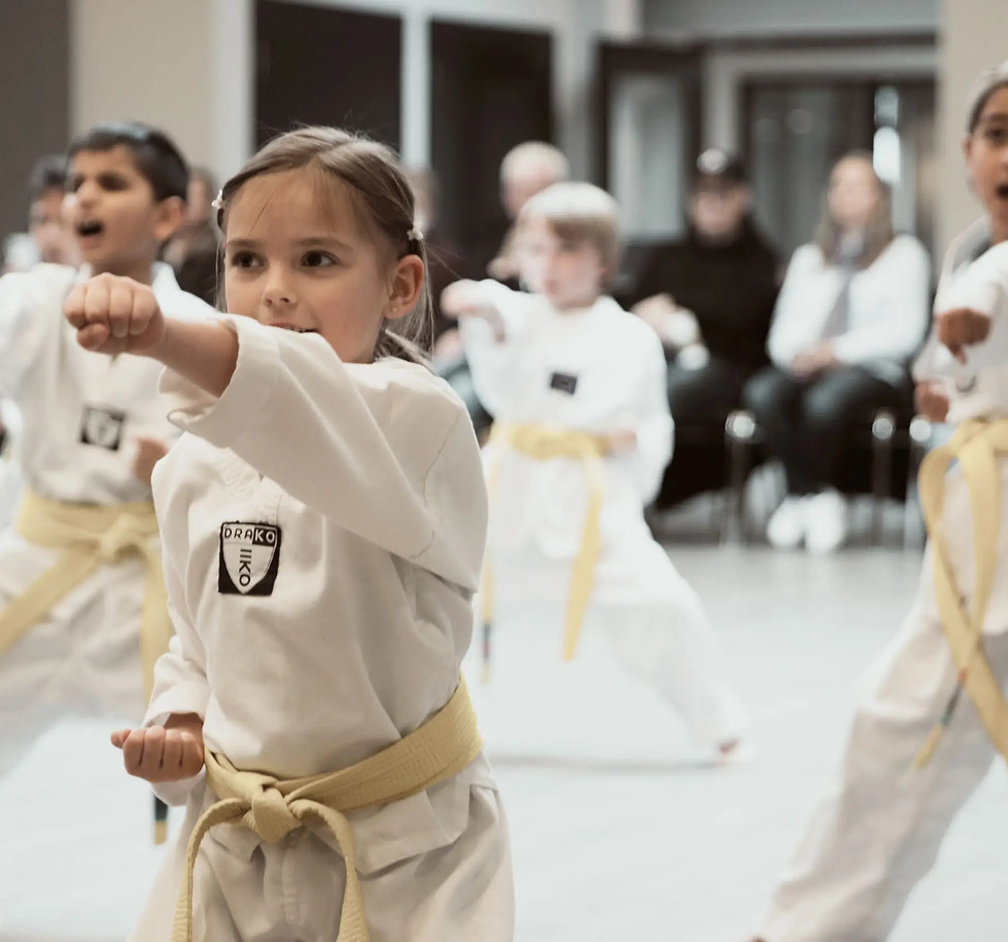Langley Taekwondo Academy