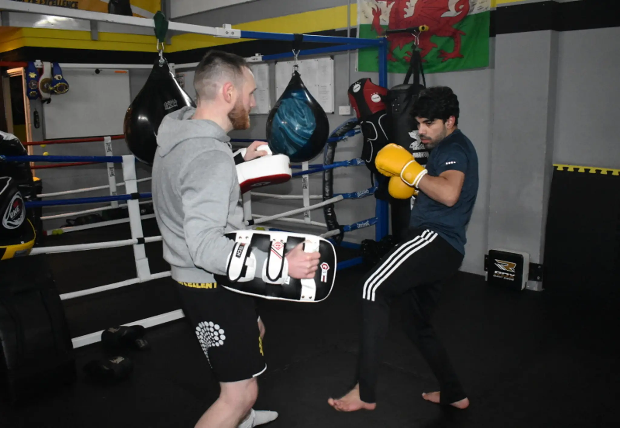 Paragon Kickboxing Academy