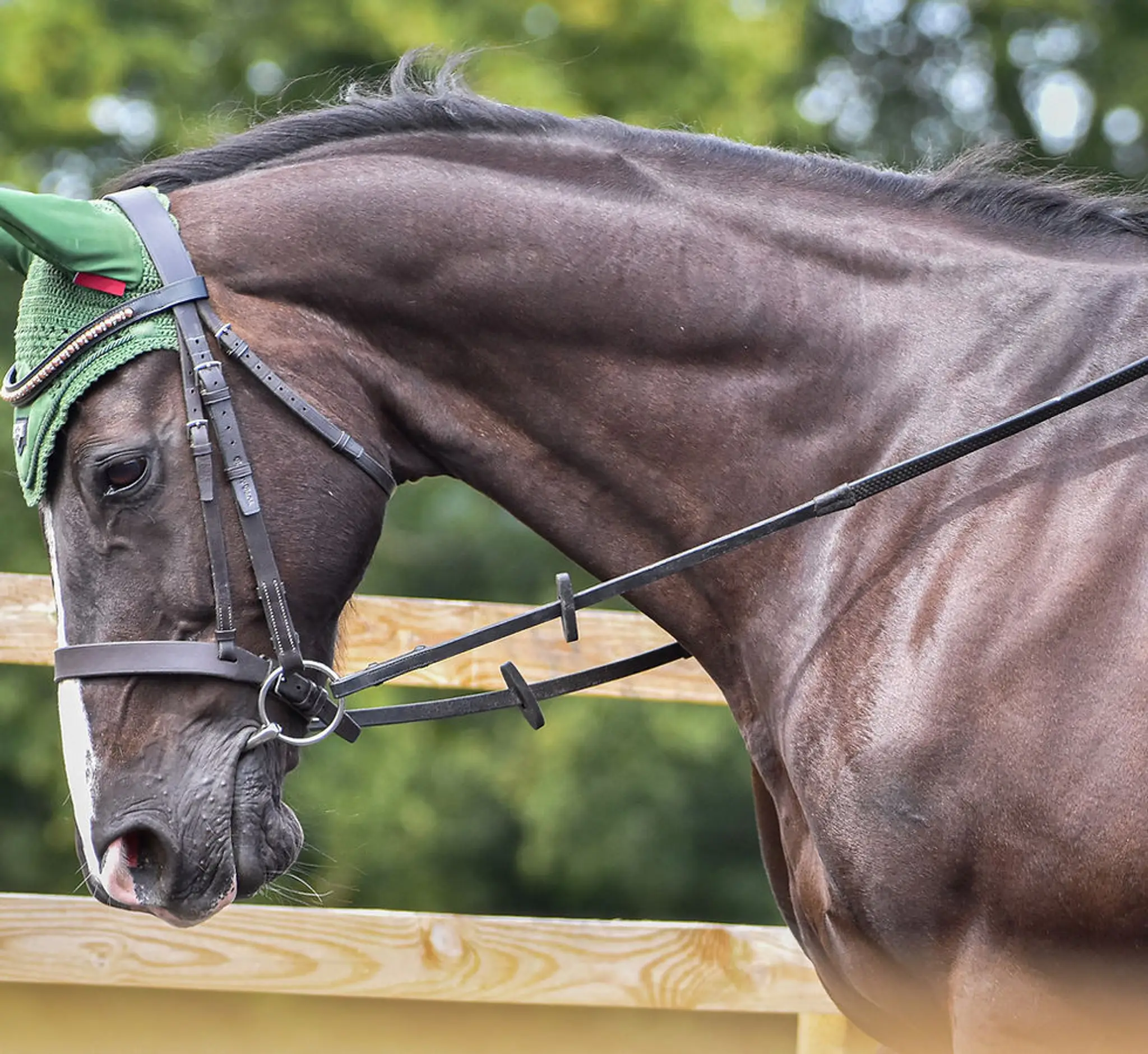 TDS Riding Centre, Tong