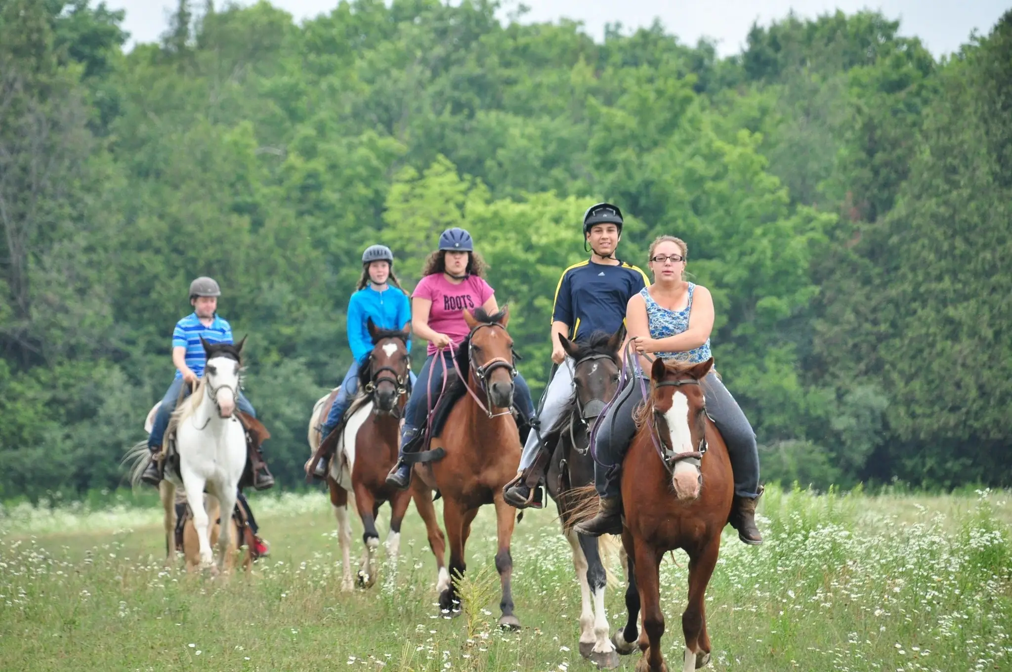 Fallbrook Trail Ranch