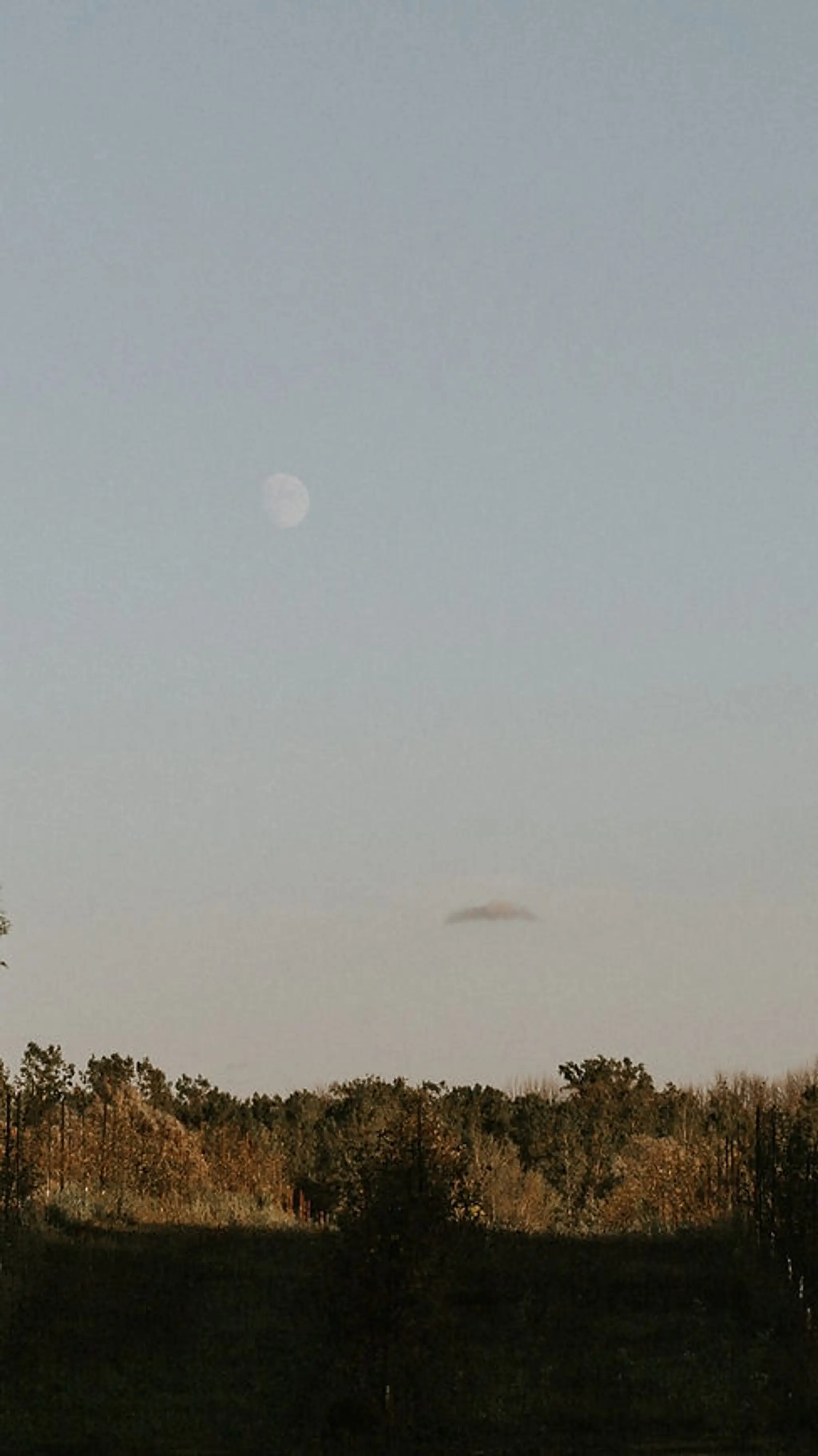 Taylor van der Deen, MSW RSW - Counselling Services