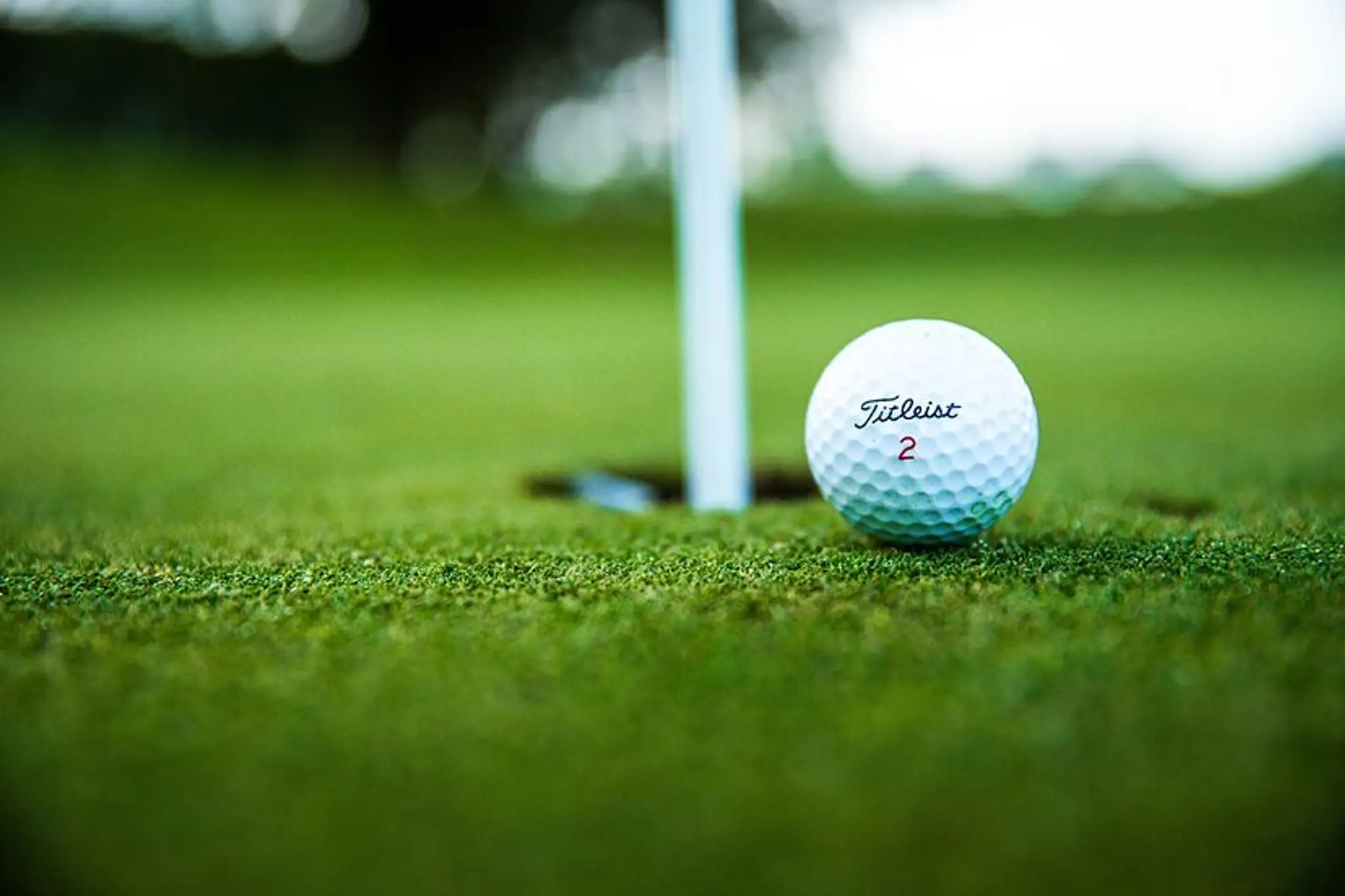 Ross Golf Club(Club Gailf Ross)