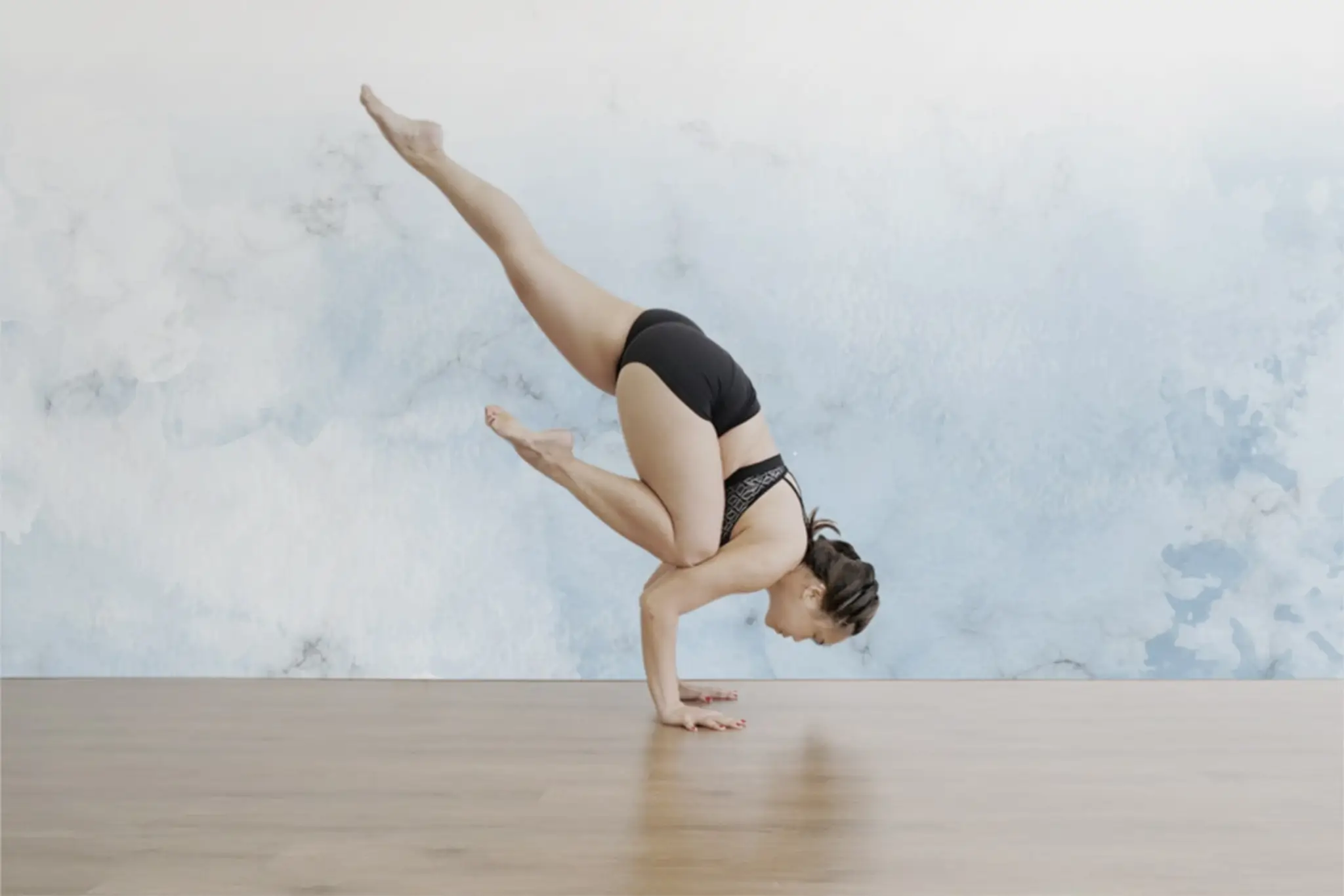 The Yoga Mandala