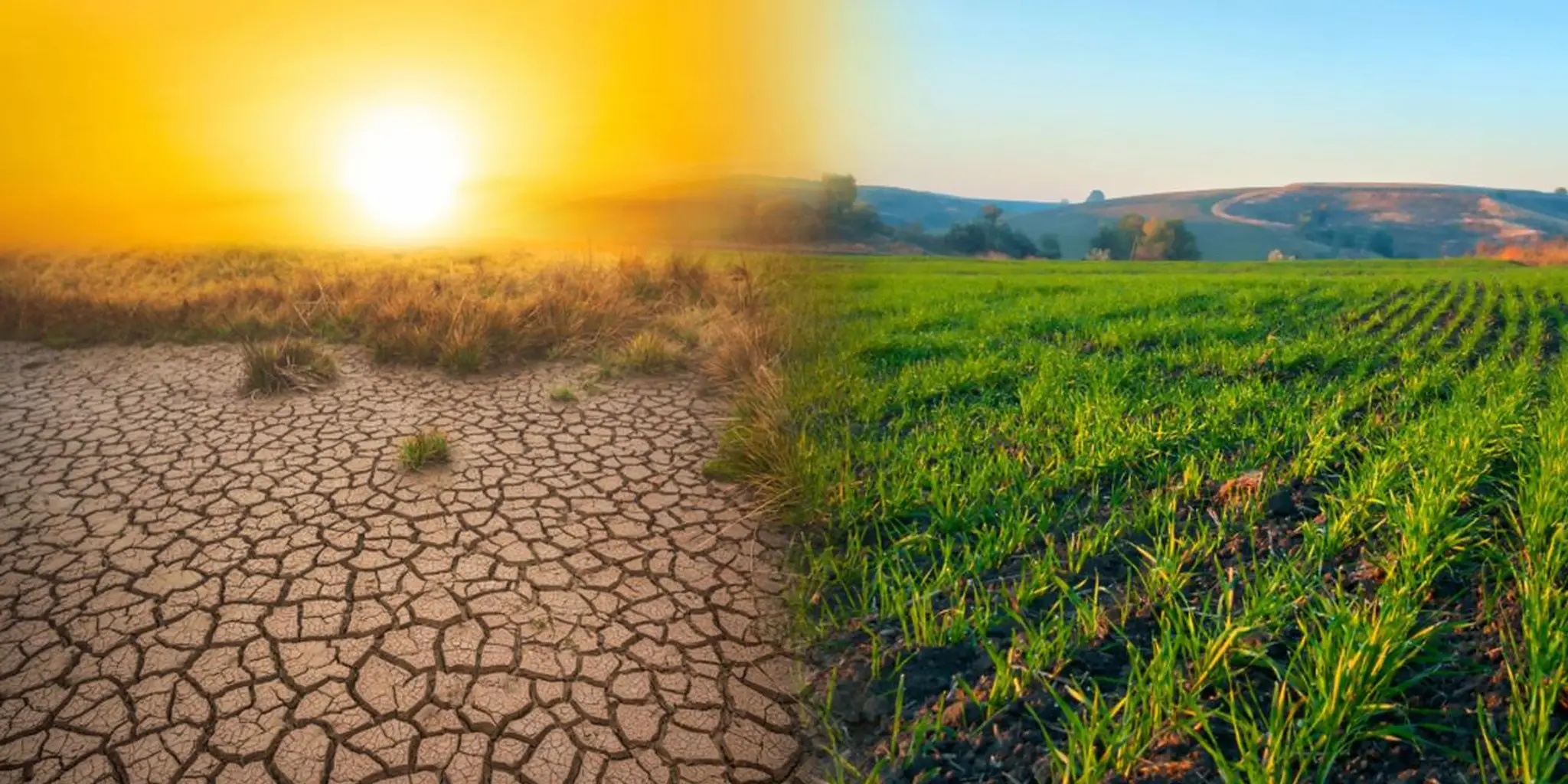 Altitude Performance Centre