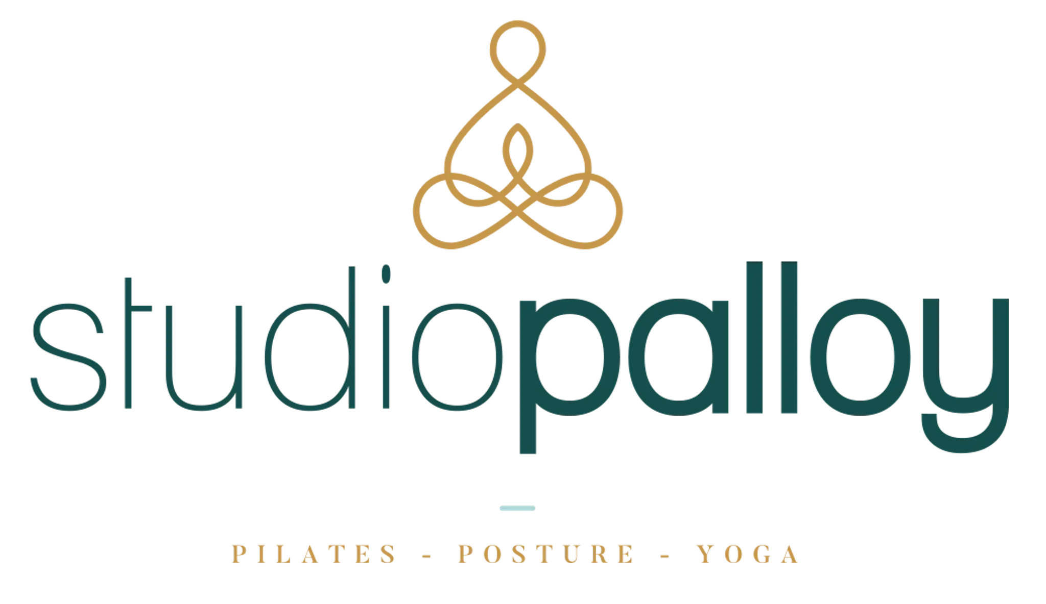 Studio Palloy