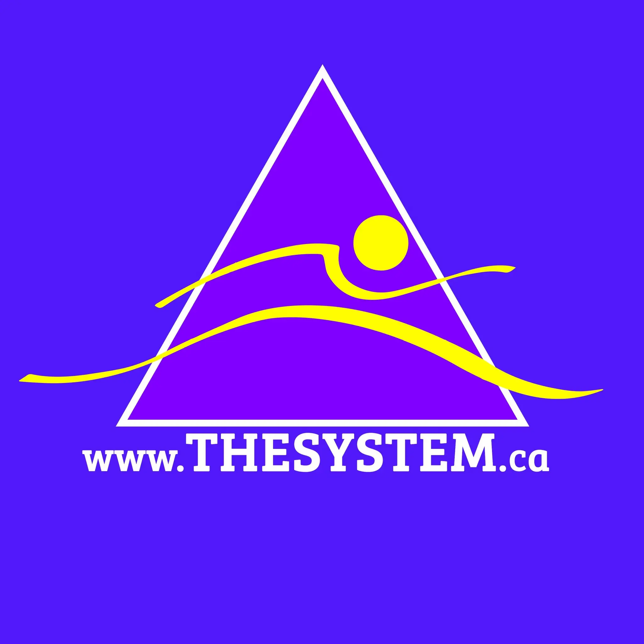 The System: The Art & Science of Coaching (Elite Athletic Performance)