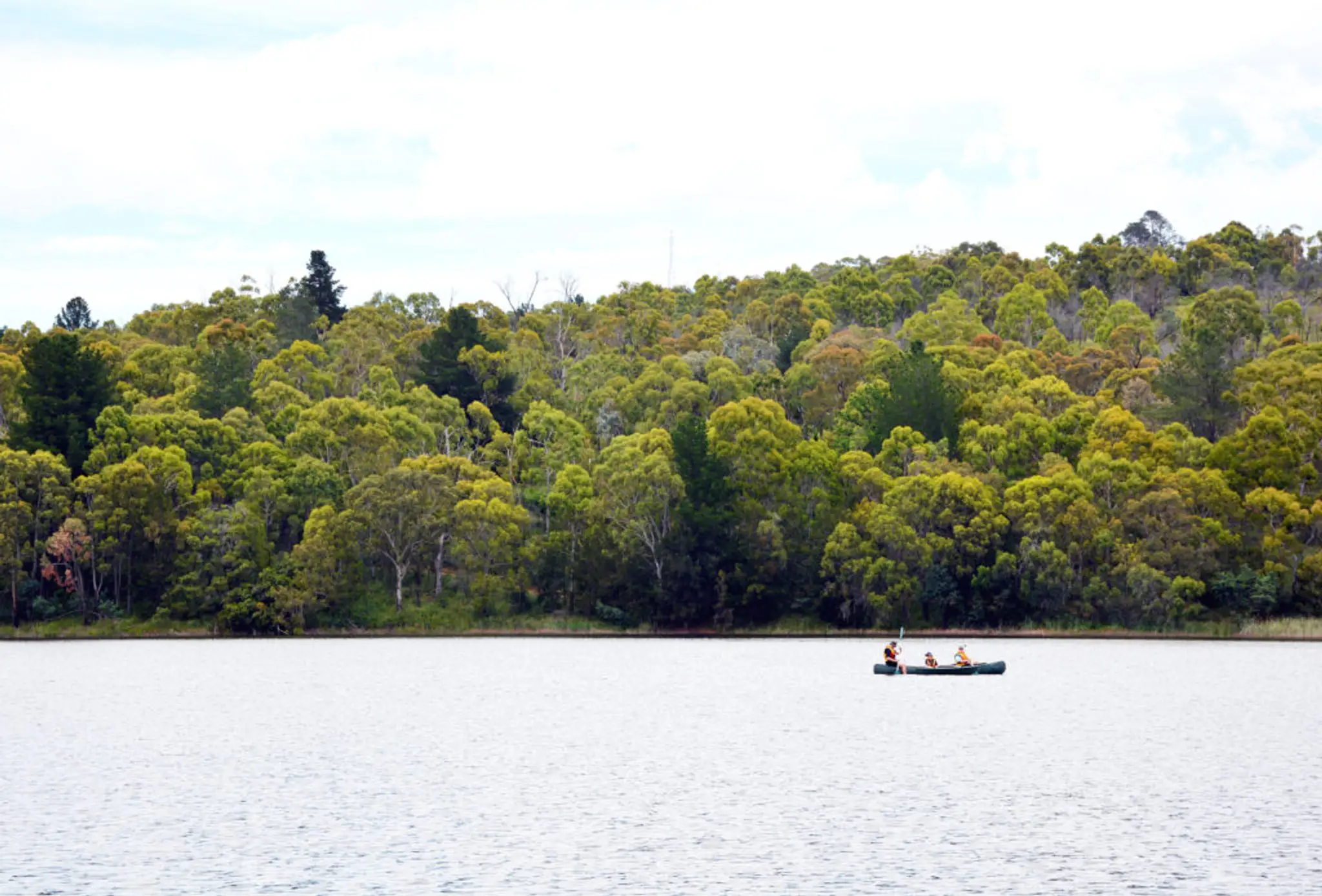 Lake Canobolas Reserve