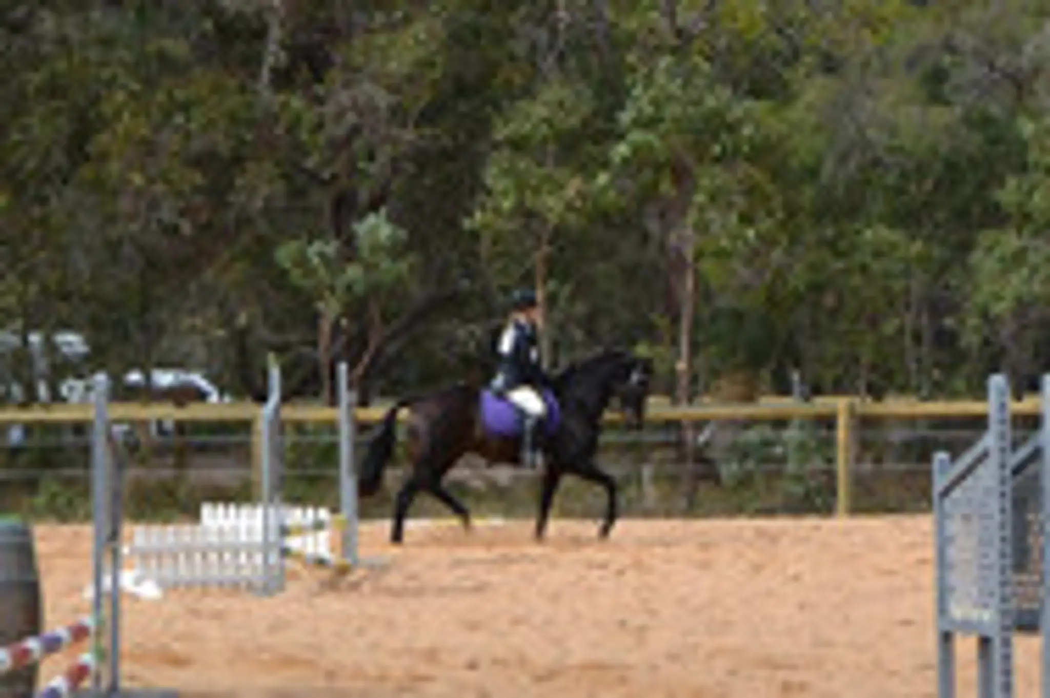 Sandeli Park Equestrian Centre