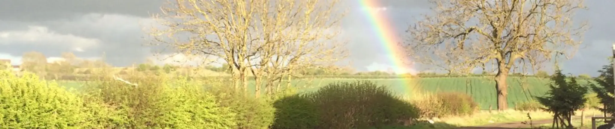 Cherry Tree Farm Riding Academy