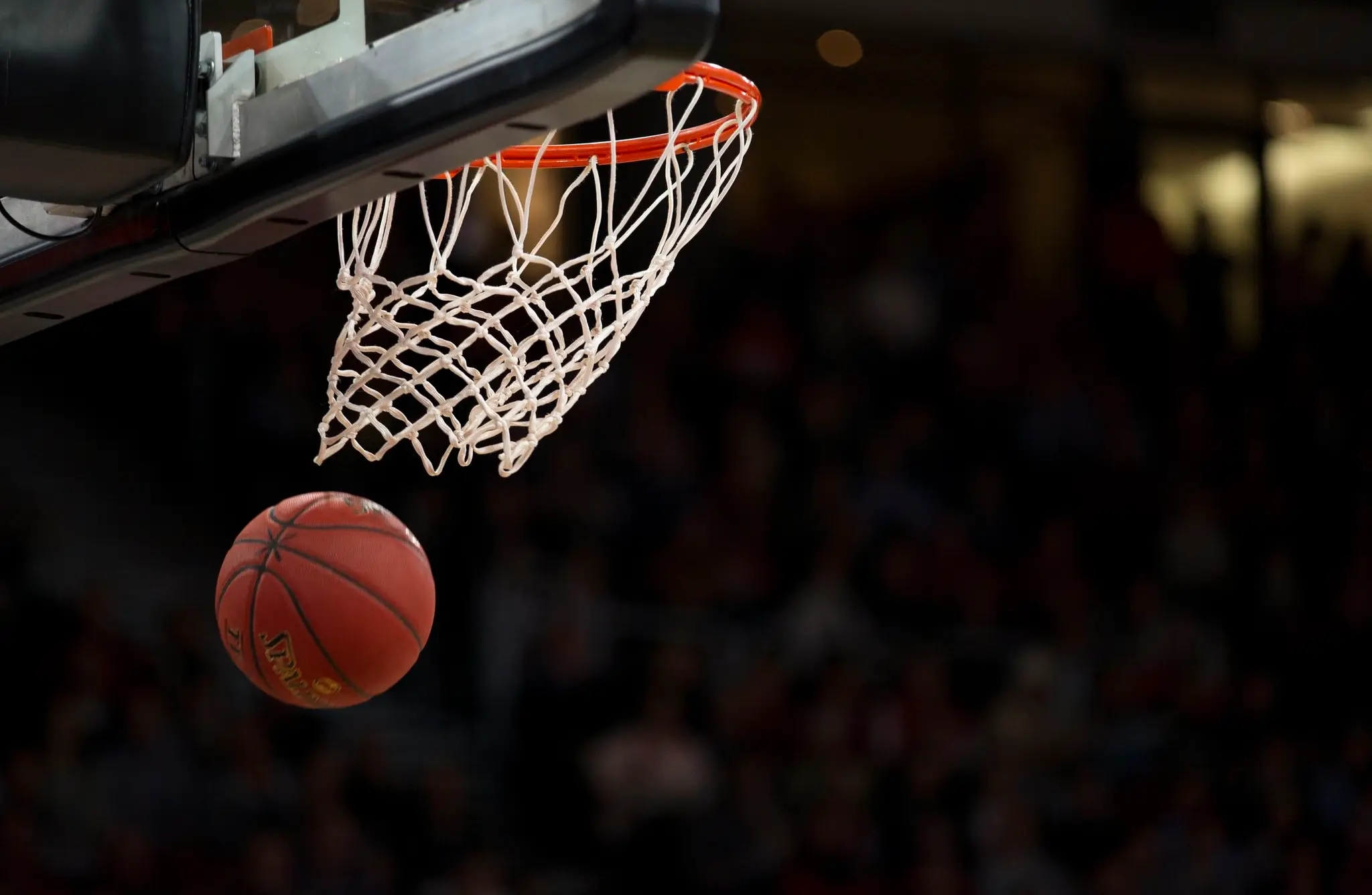 Dublin Raiders Basketball Club