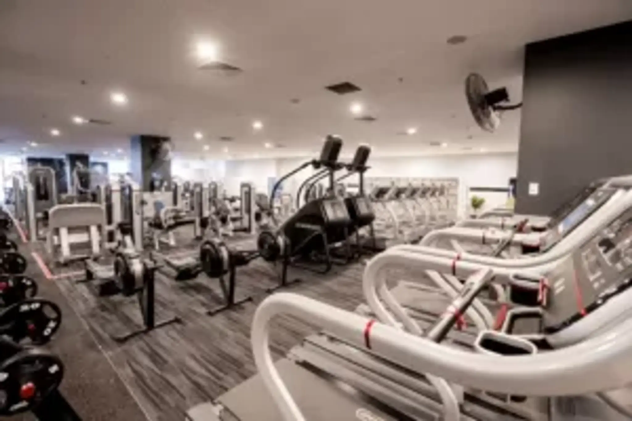 Revo Fitness - Pitt St Sydney