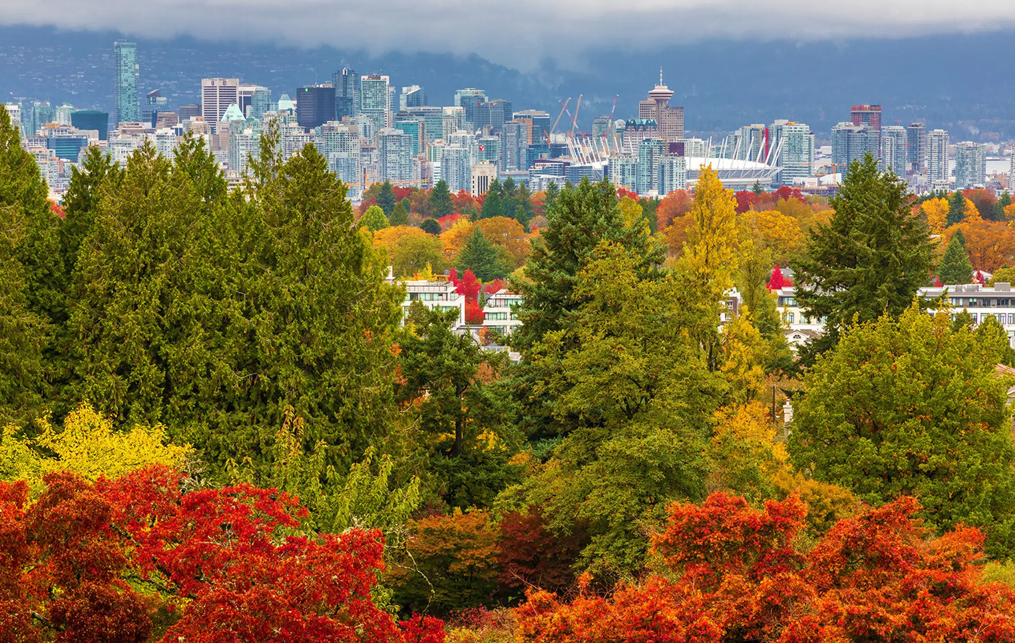 Queen Elizabeth Park Disc Golf Course
